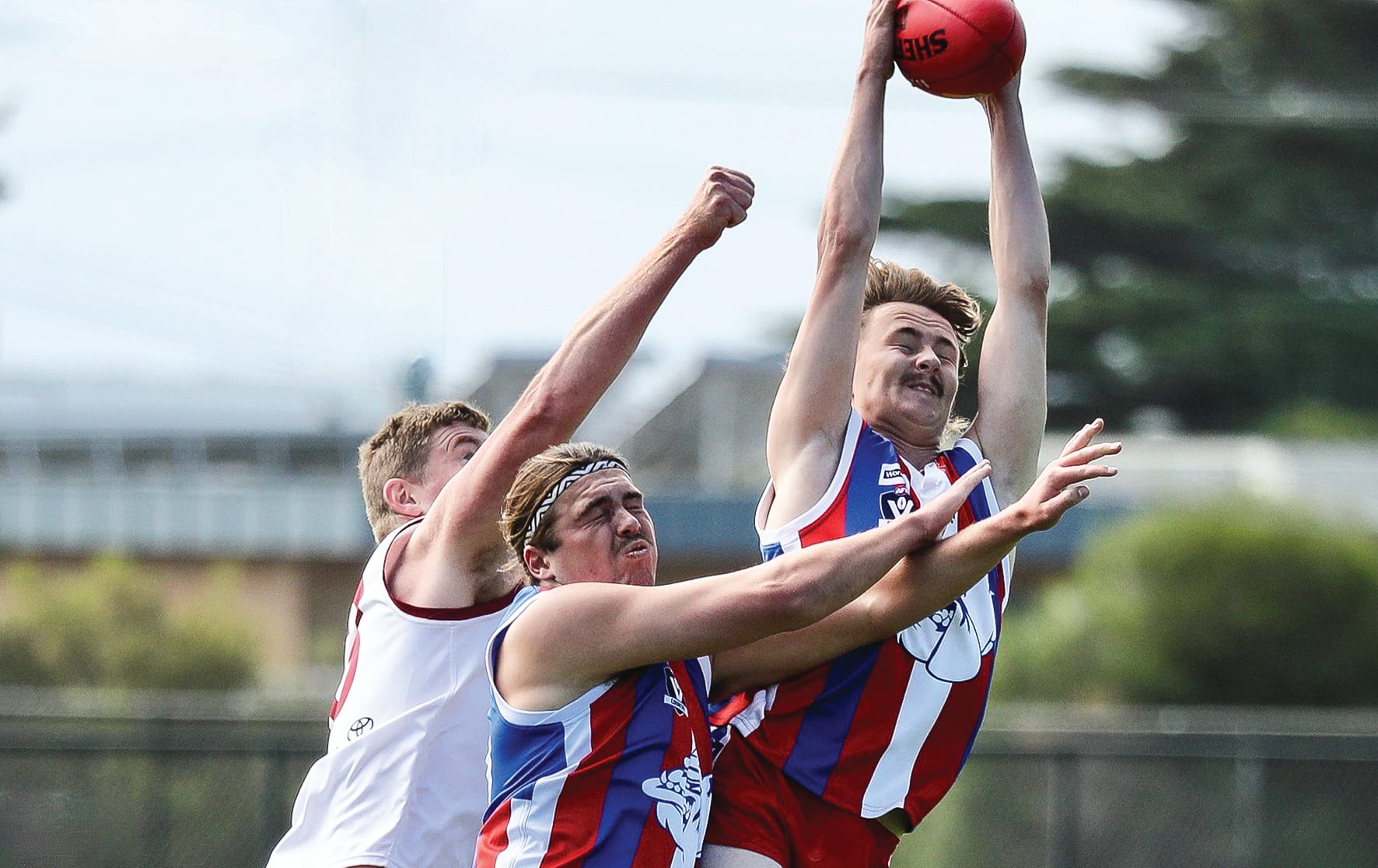 Bulldogs overcome plucky Dusties - Reserves