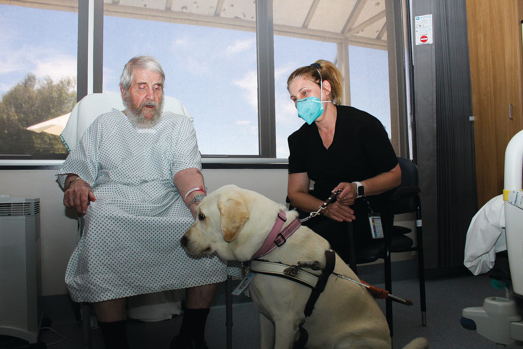 Daisy brings in the sunshine