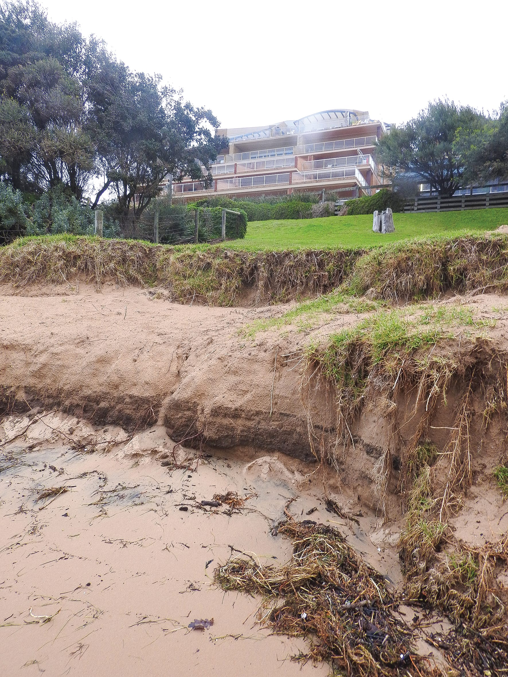 Cowes main beach dune bulldozing