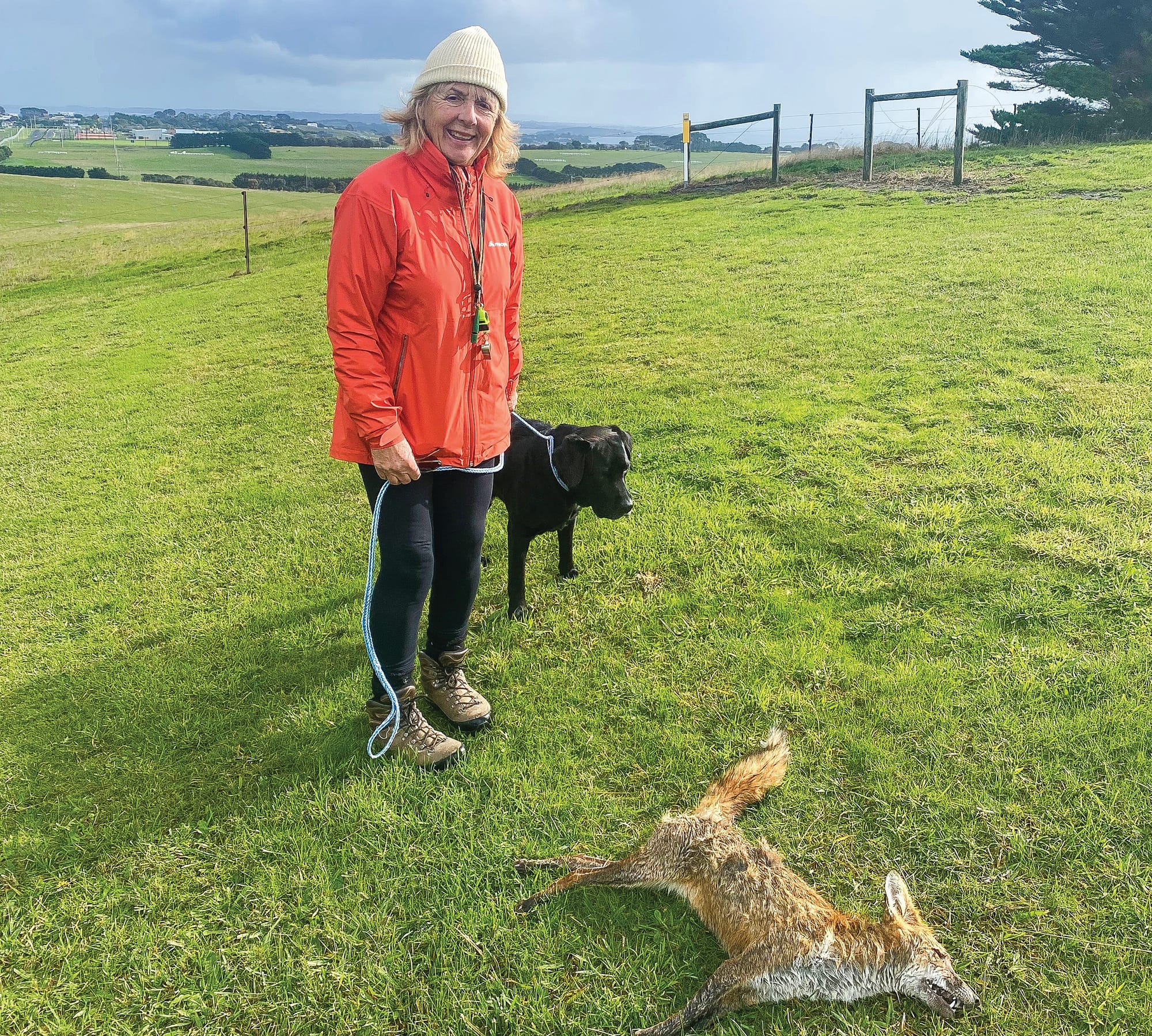 Fox problems continue