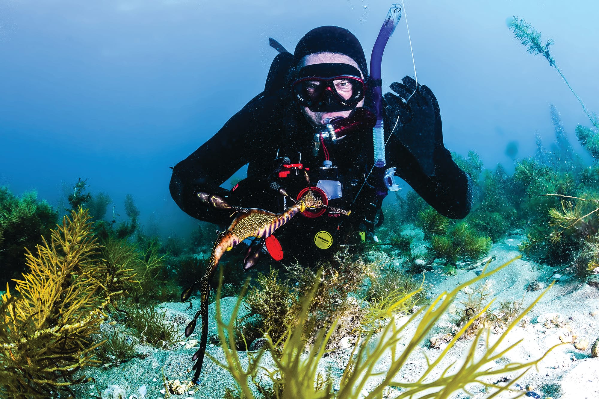 A nudi community on San Remo’s doorstep