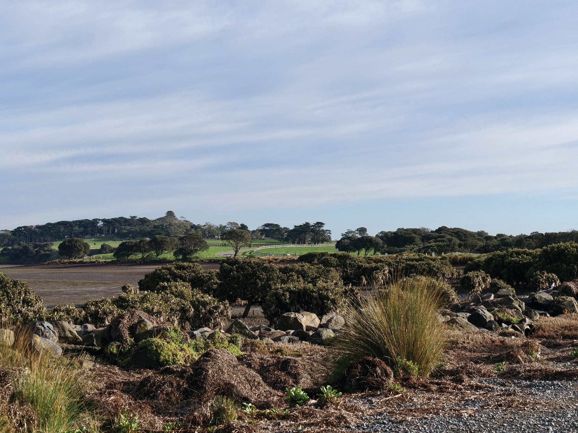 Museum objector speaks out