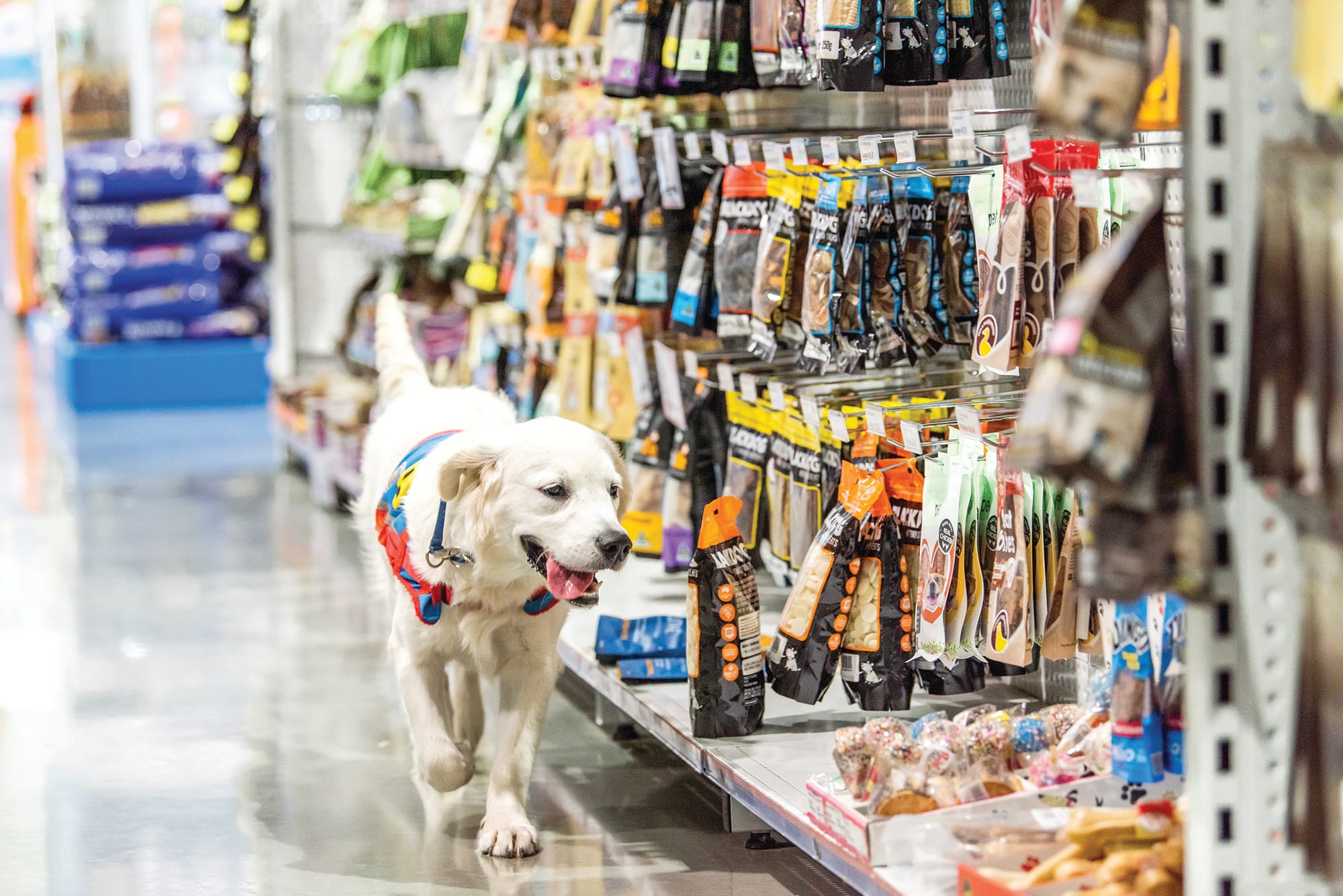 PETstock Cowes turns one