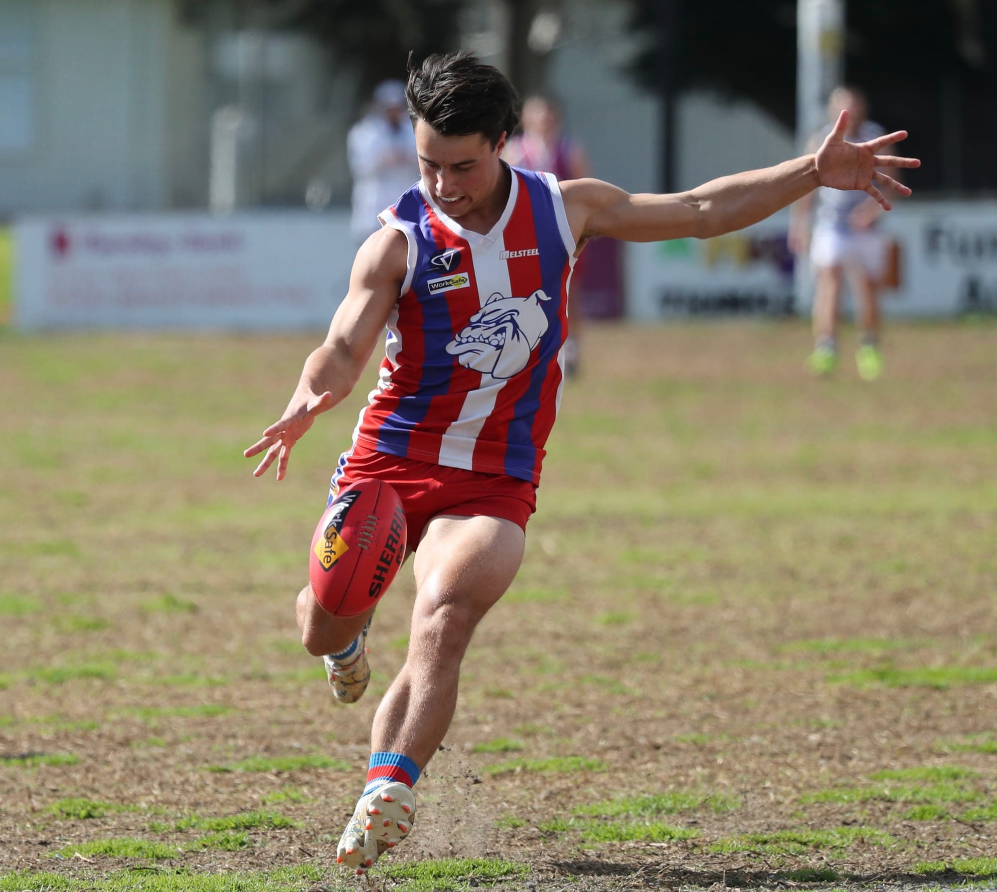 Phillip Island Reserves - Photo gallery