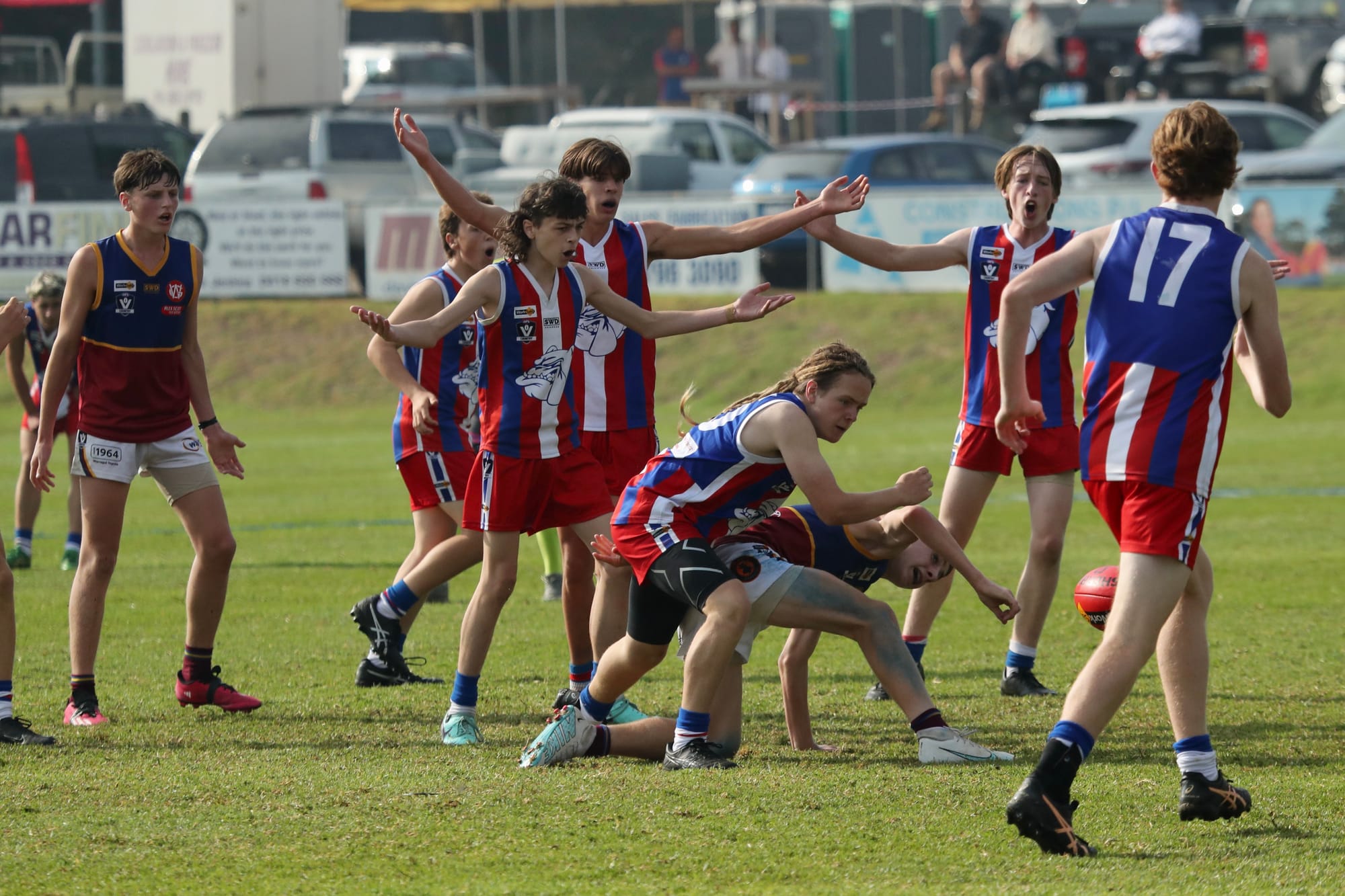 U16 Bulldogs victorious