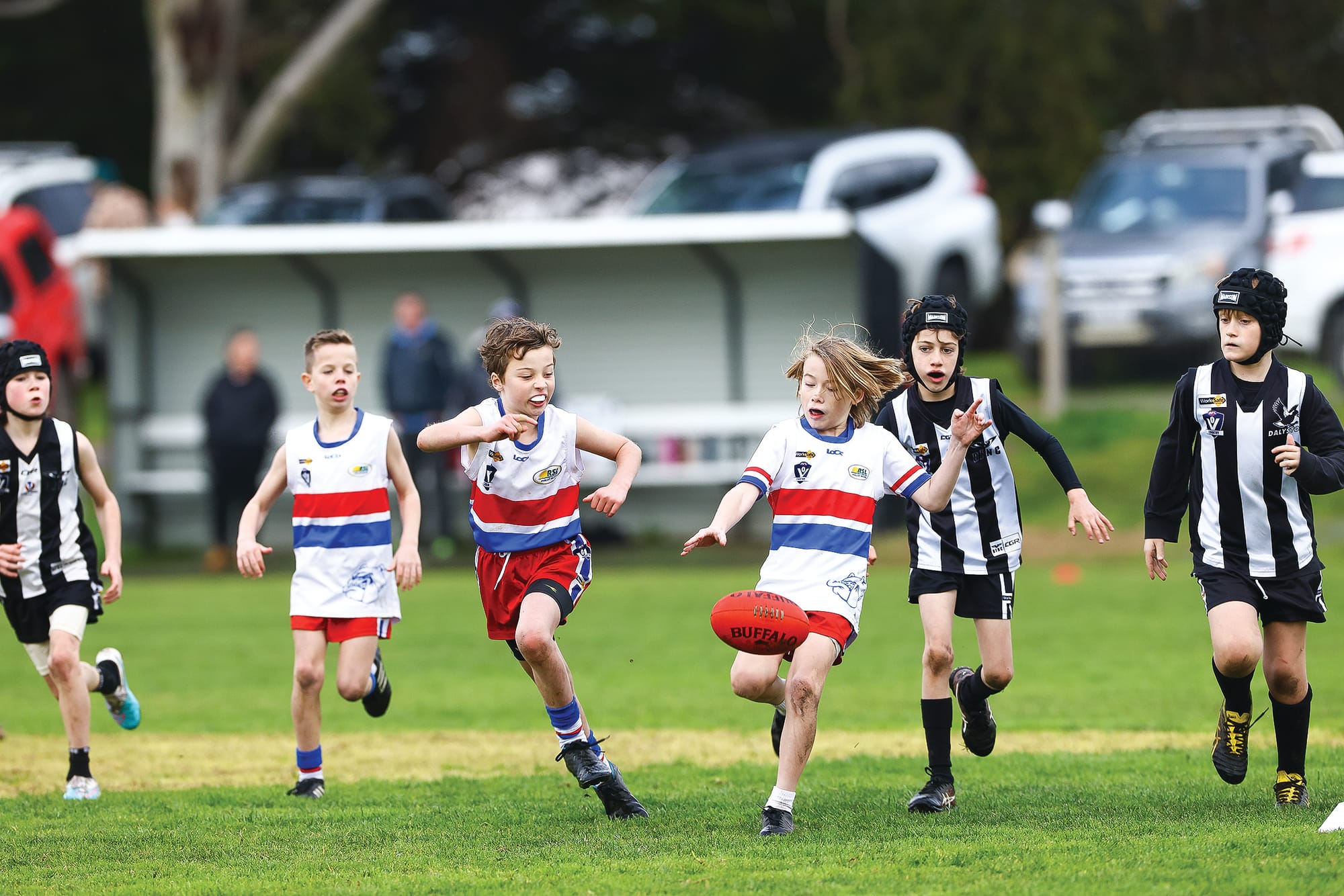 Big week on the field for junior Dogs - U10 Red