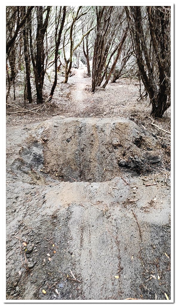 Foreshore vandalised says Coast Action