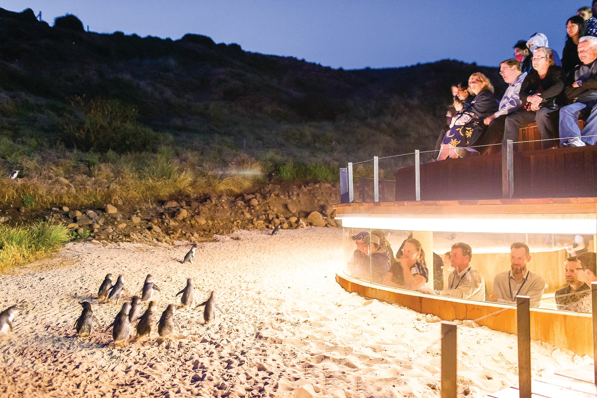 Nature Parks' "stronger-than-forecast growth"