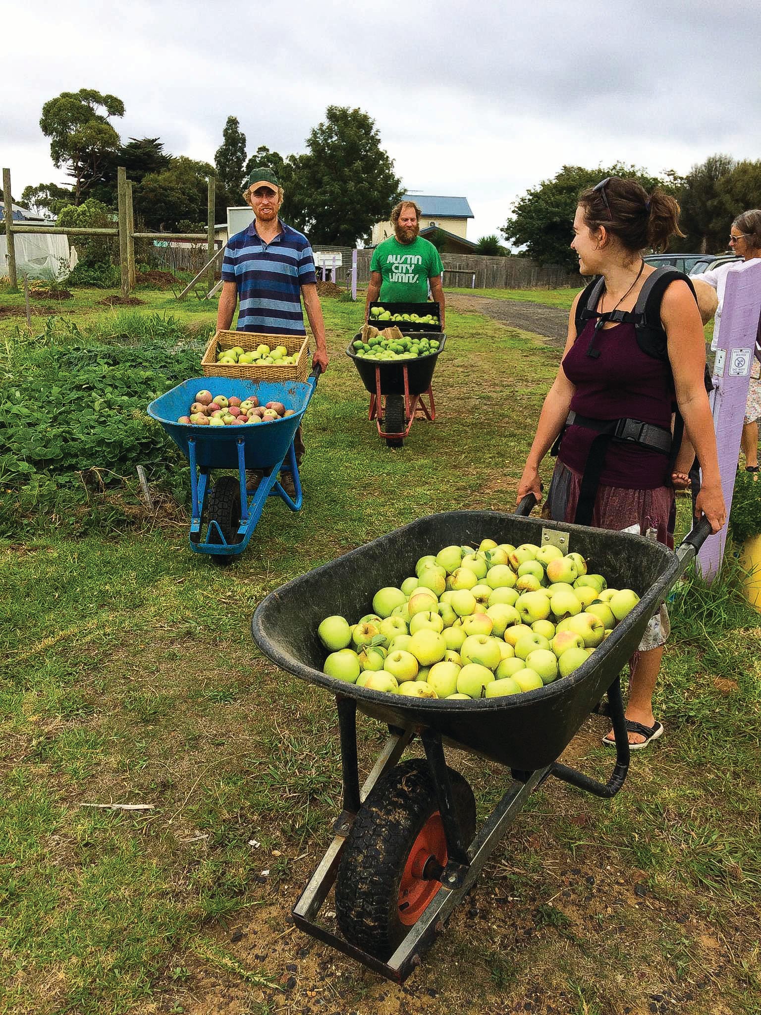 What’s happening at the Phillip Island Community Orchard