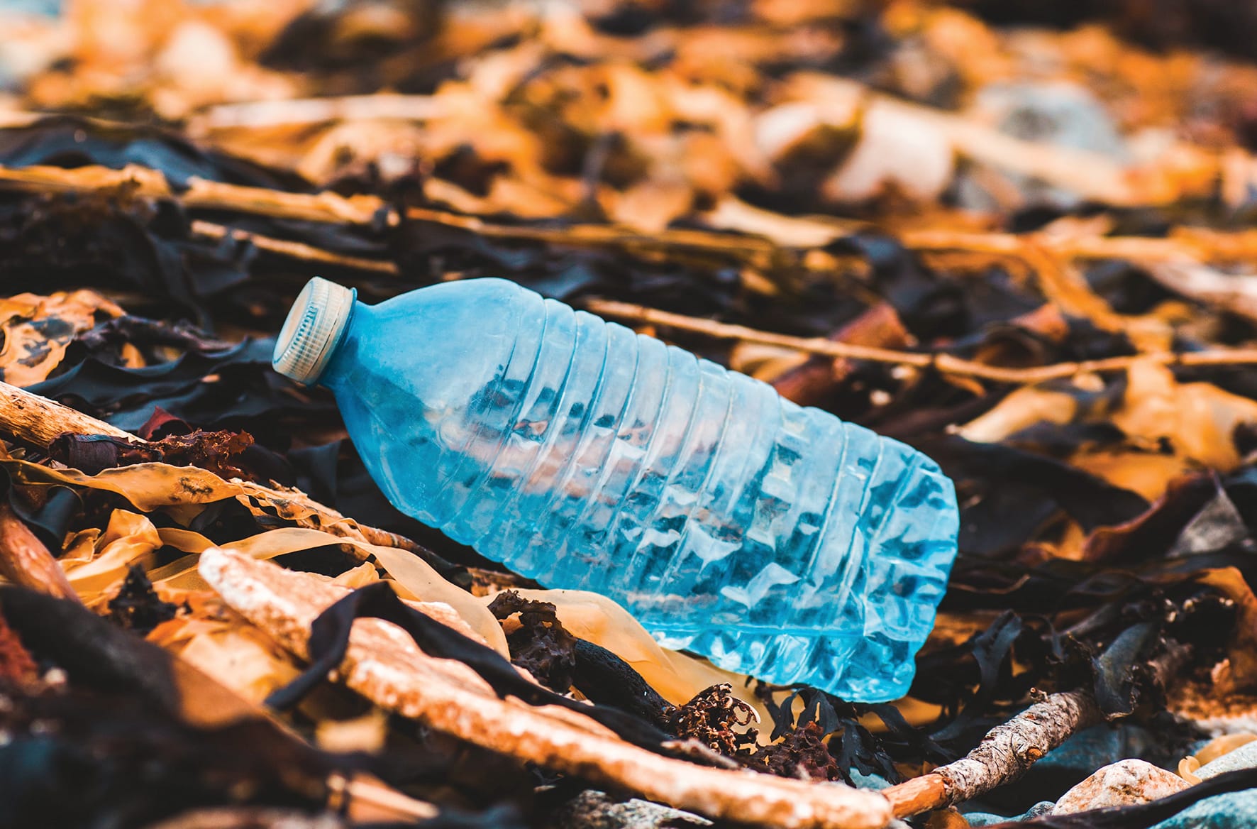 Let’s beat plastic pollution