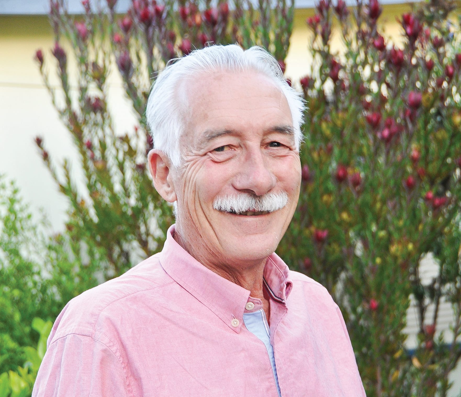 PICAL: New charity flagged as solution