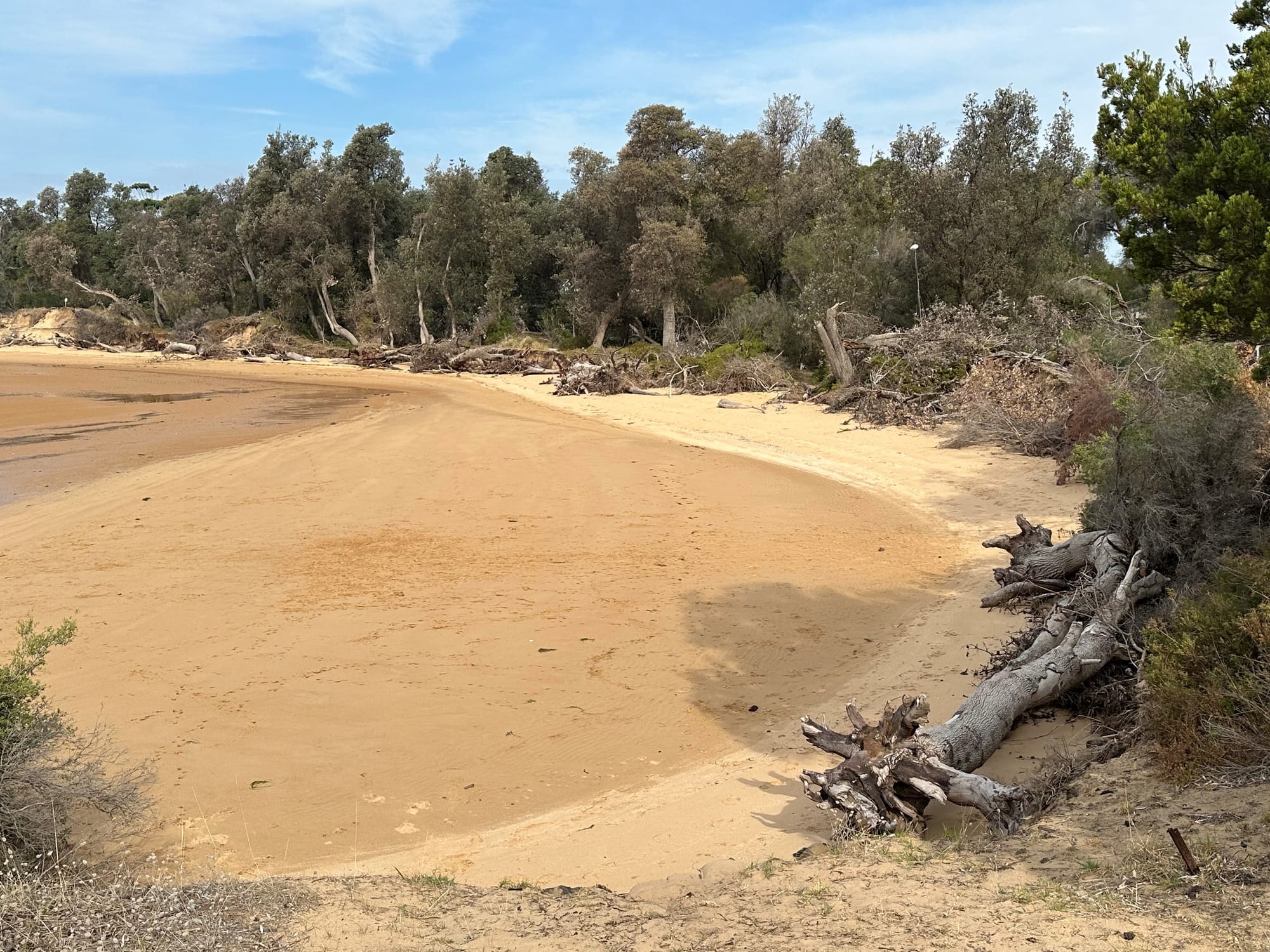 Rock bags to be installed at Silverleaves