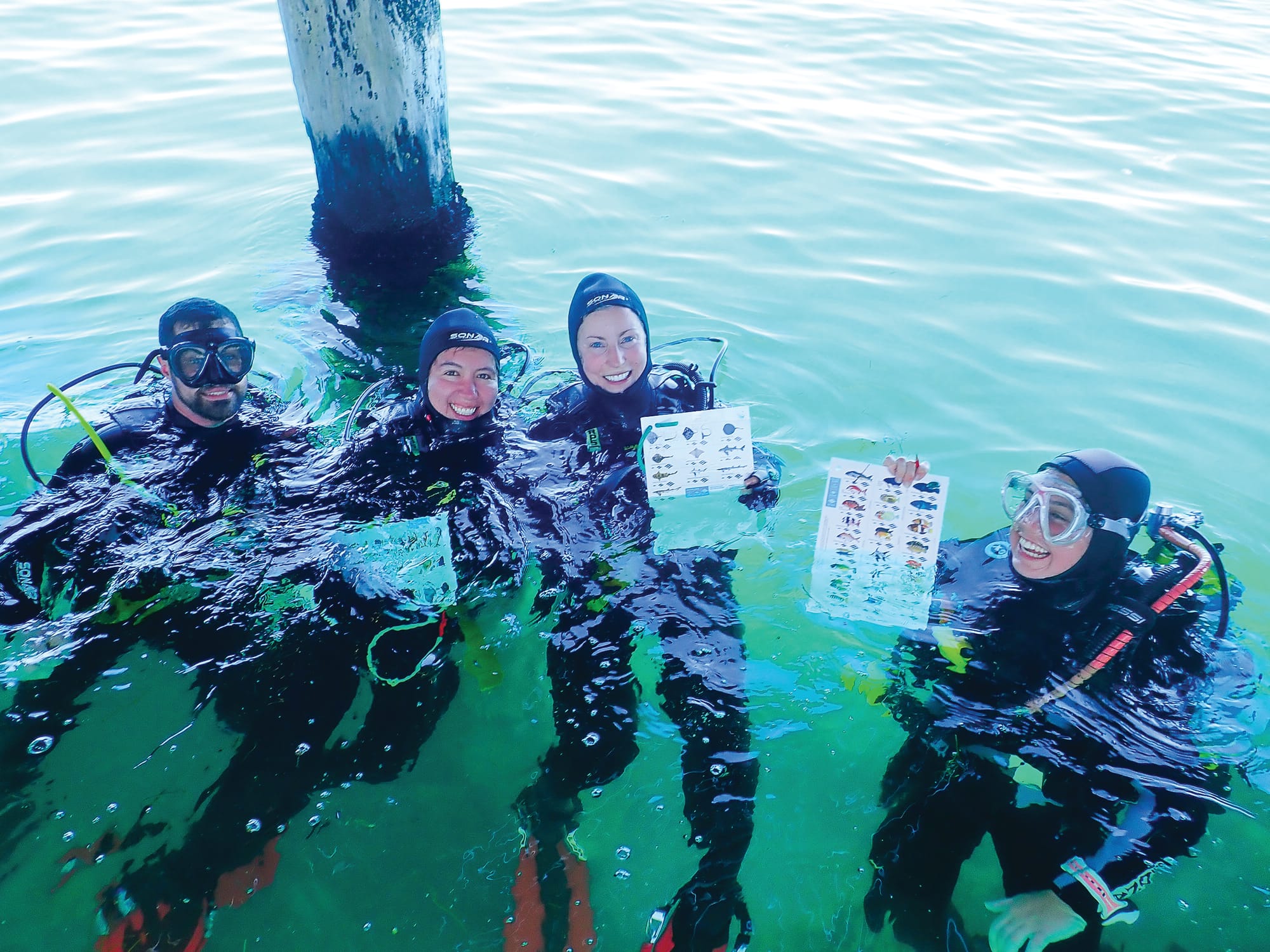 Summer sea activities