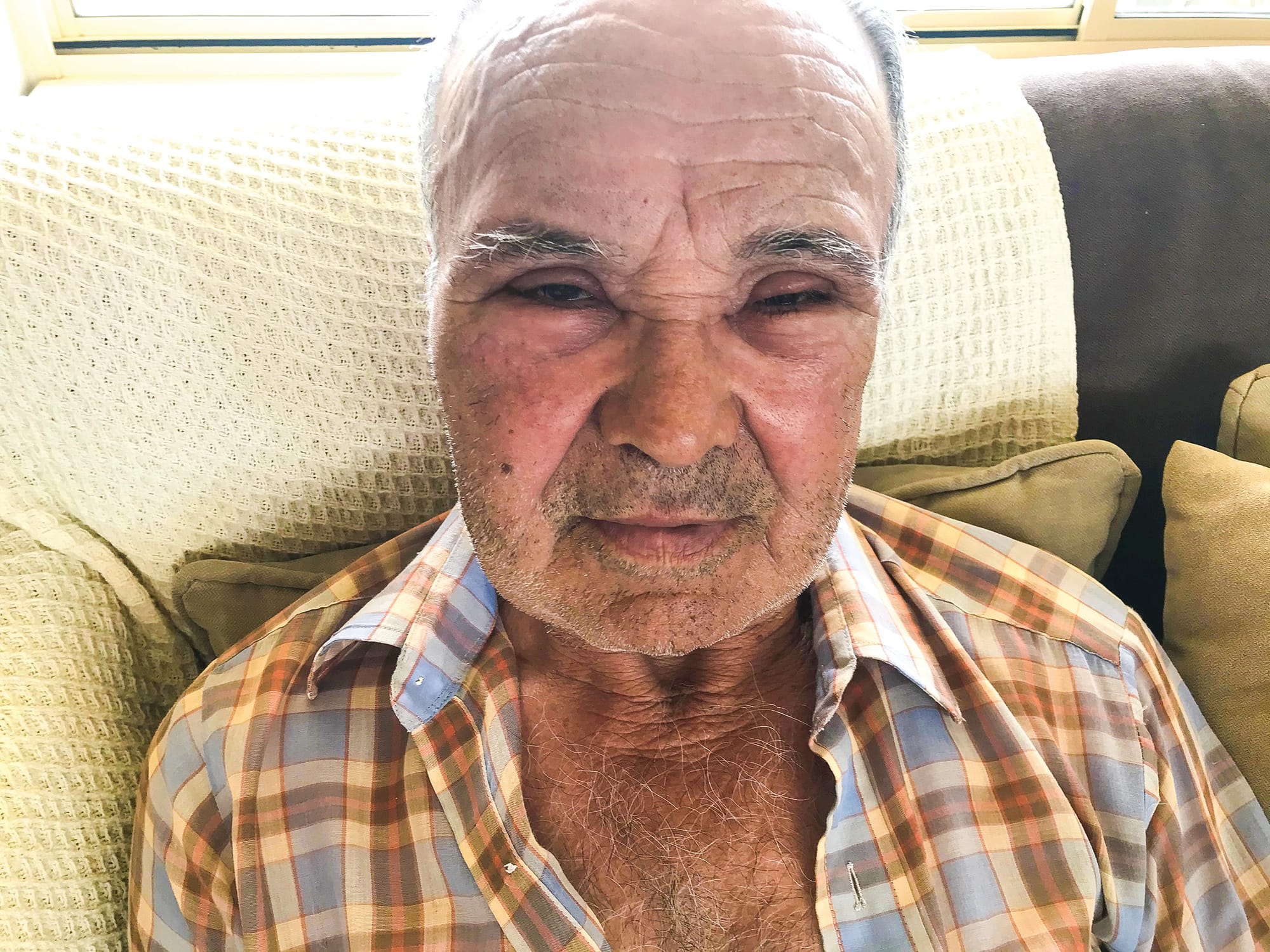 Bee swarm: unprovoked attack