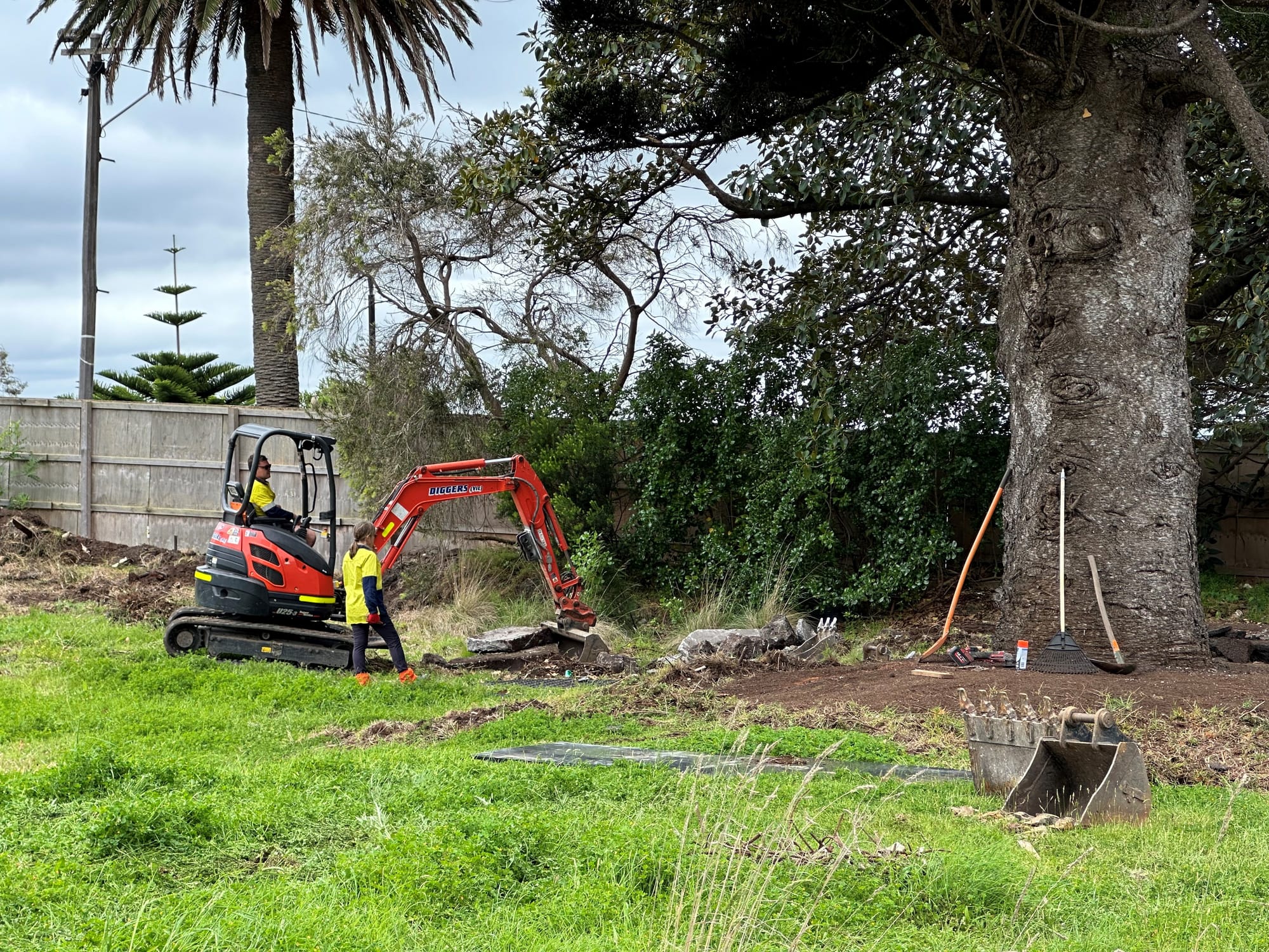 Isle of Wight coming alive