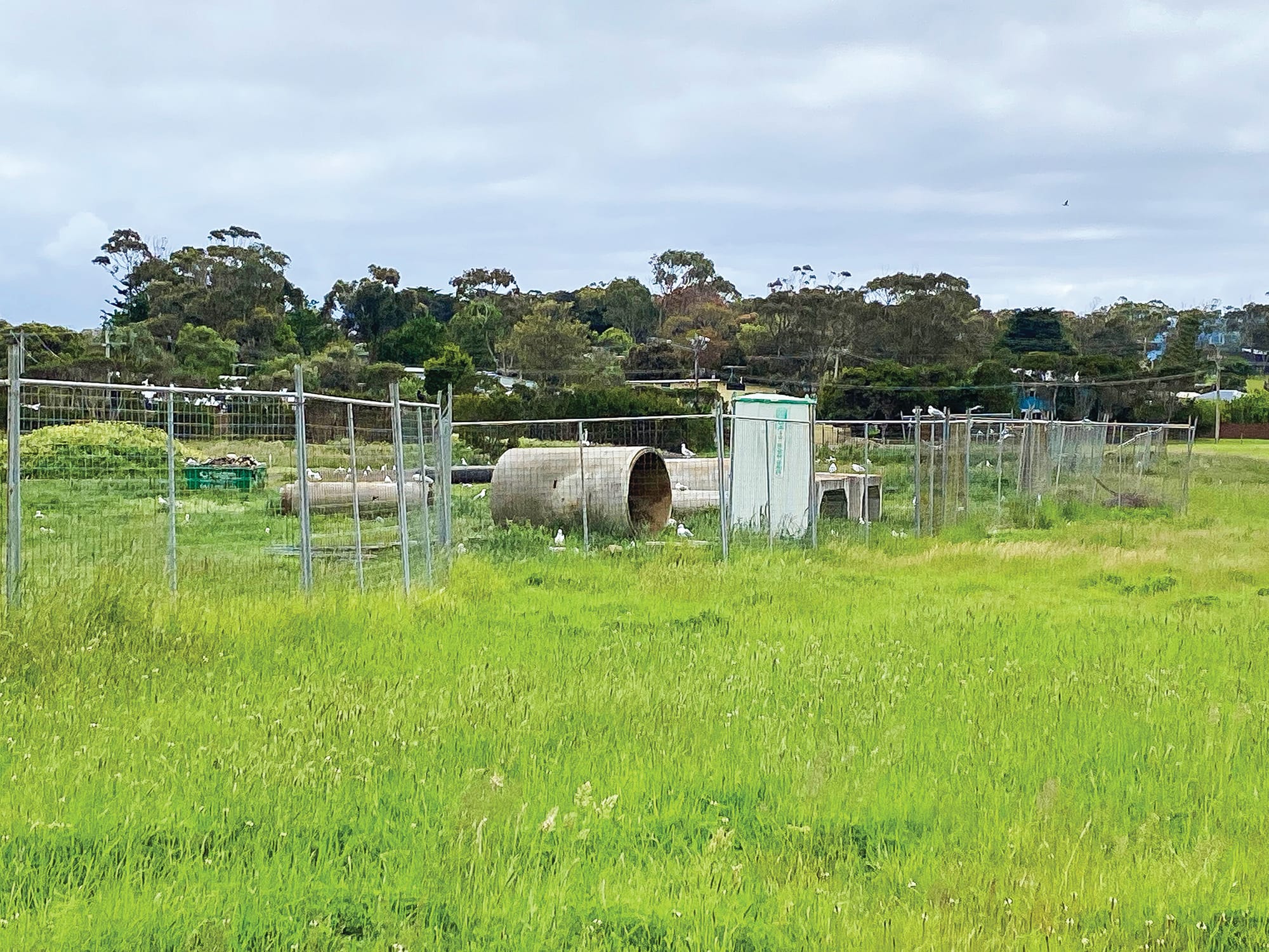 Editorial: Groundhog Day for Shoalhaven Estate
