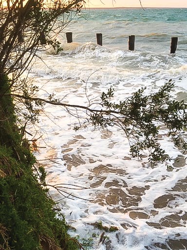 Who are the budget winners?