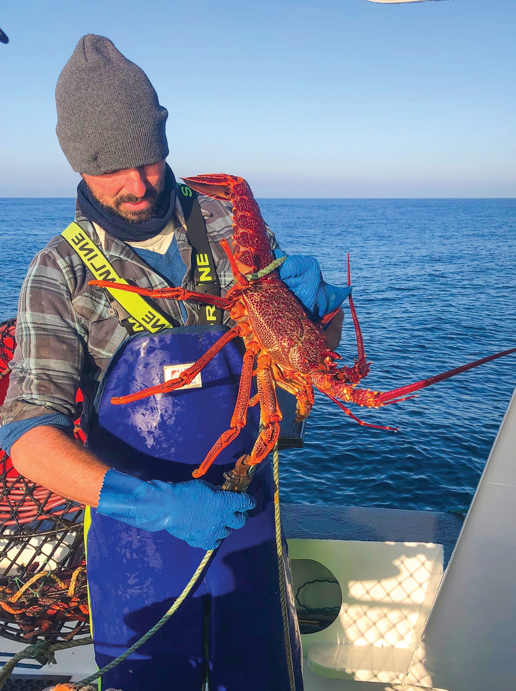 Cray concerns ahead of season opening