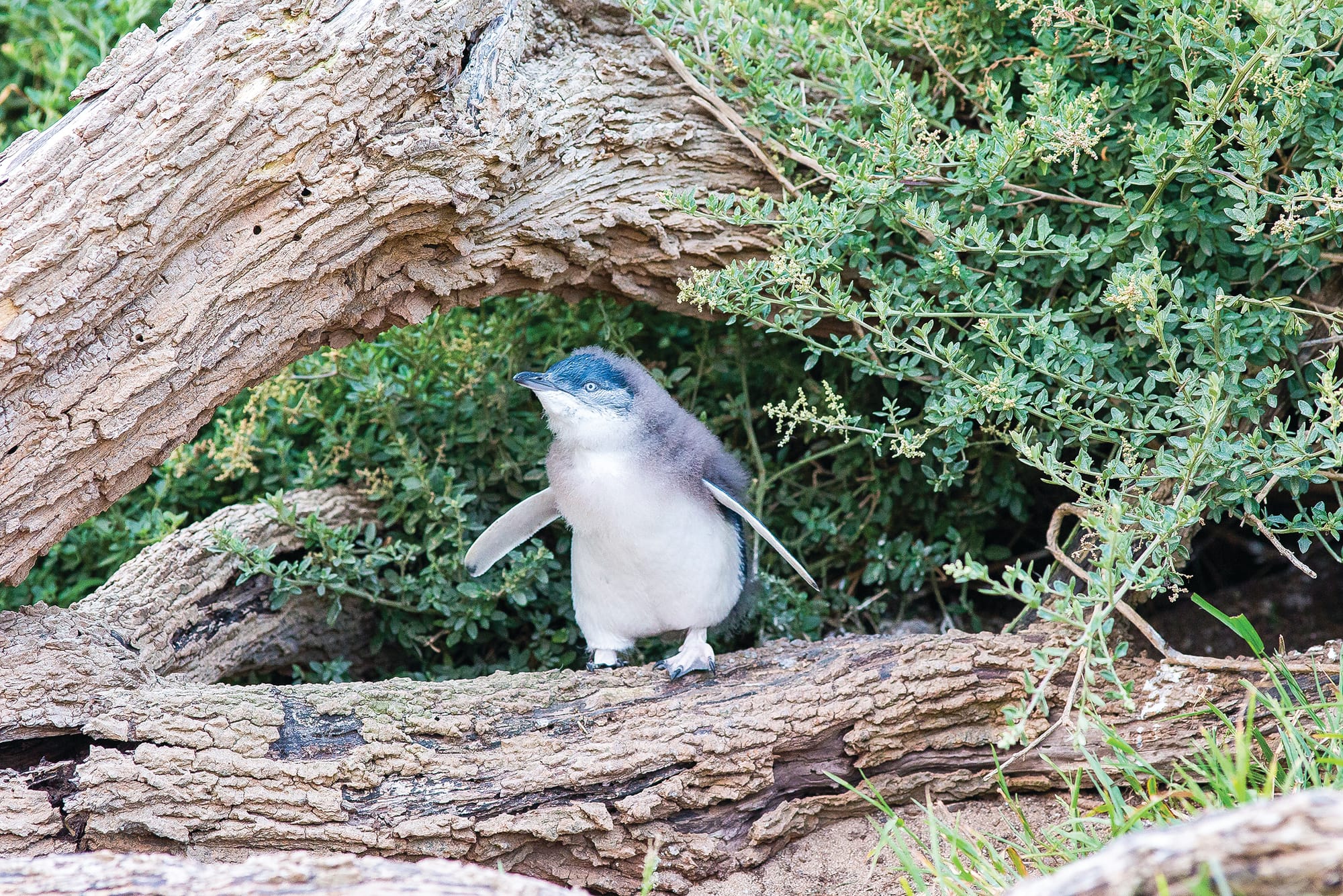 Nature Parks Board Update – February 2023