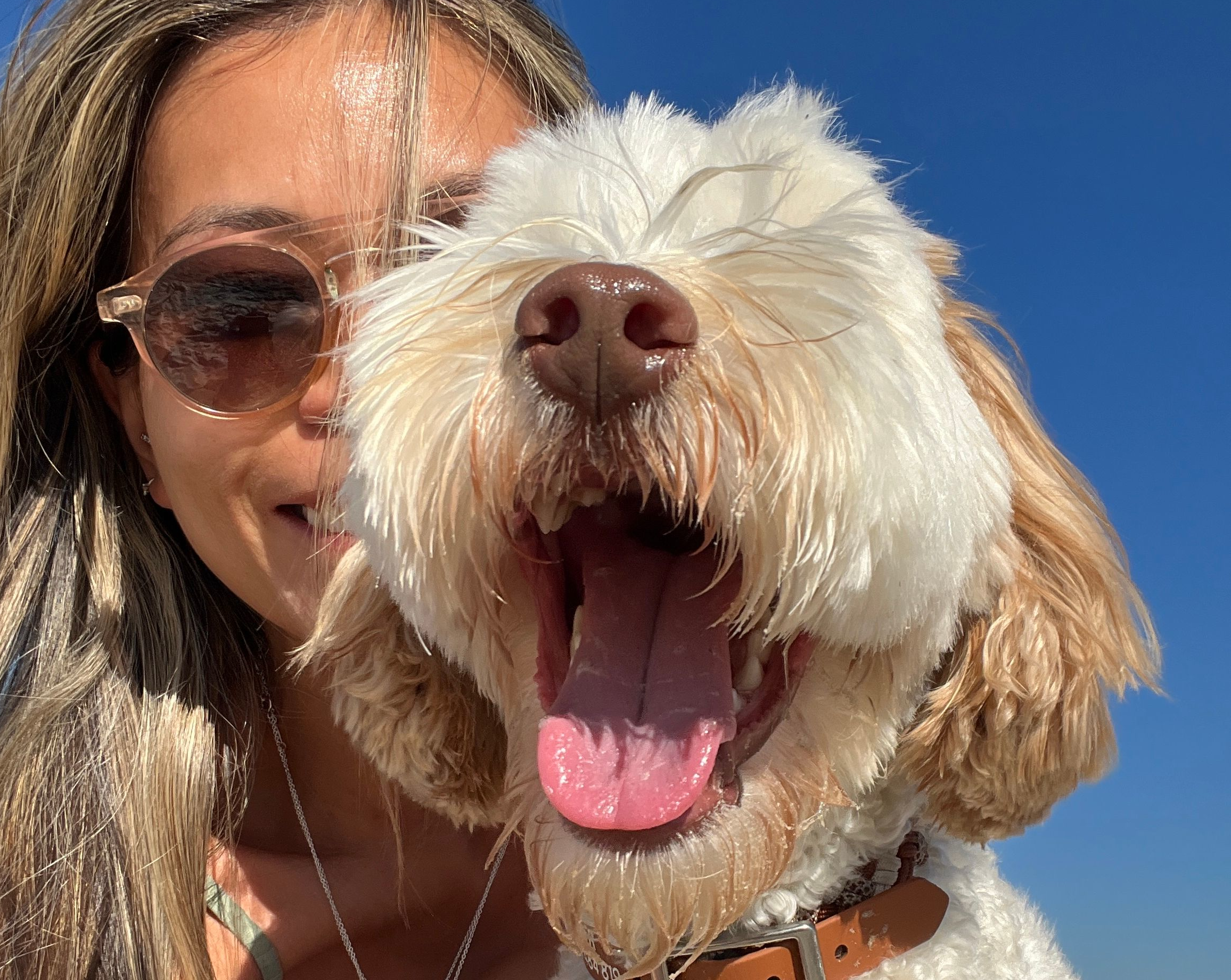 How far would you walk to help an animal in need?