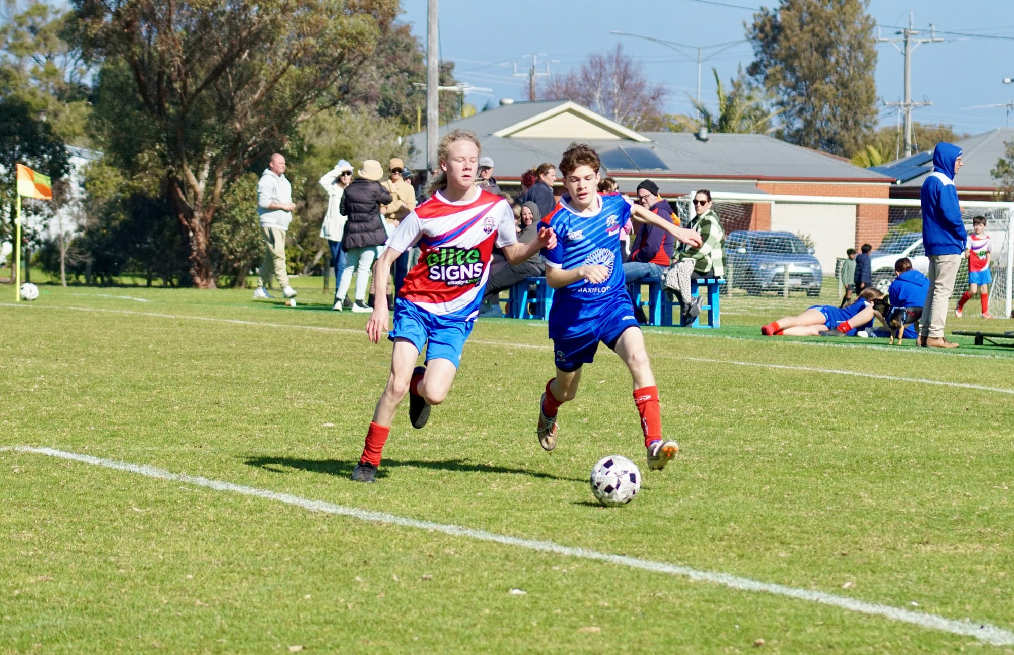 GSL fixture and results