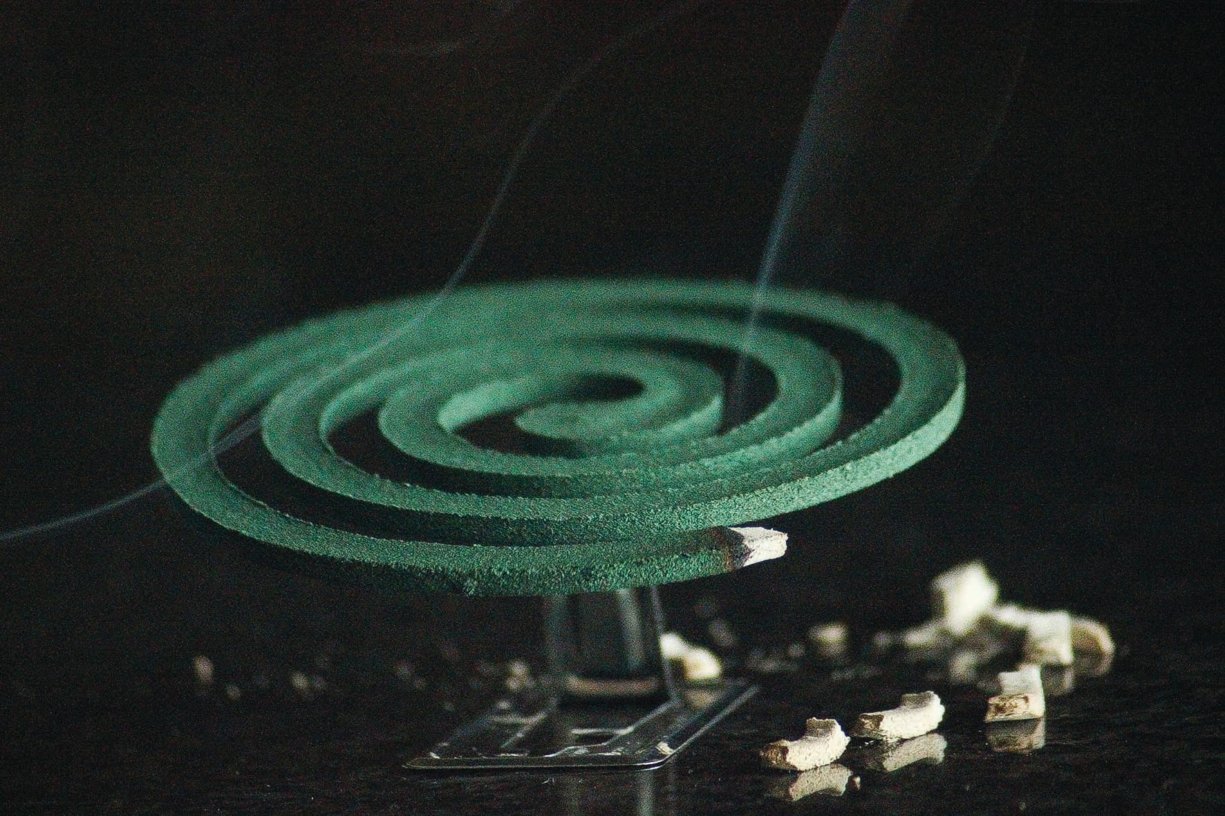 Mosquito alert as summer approaches