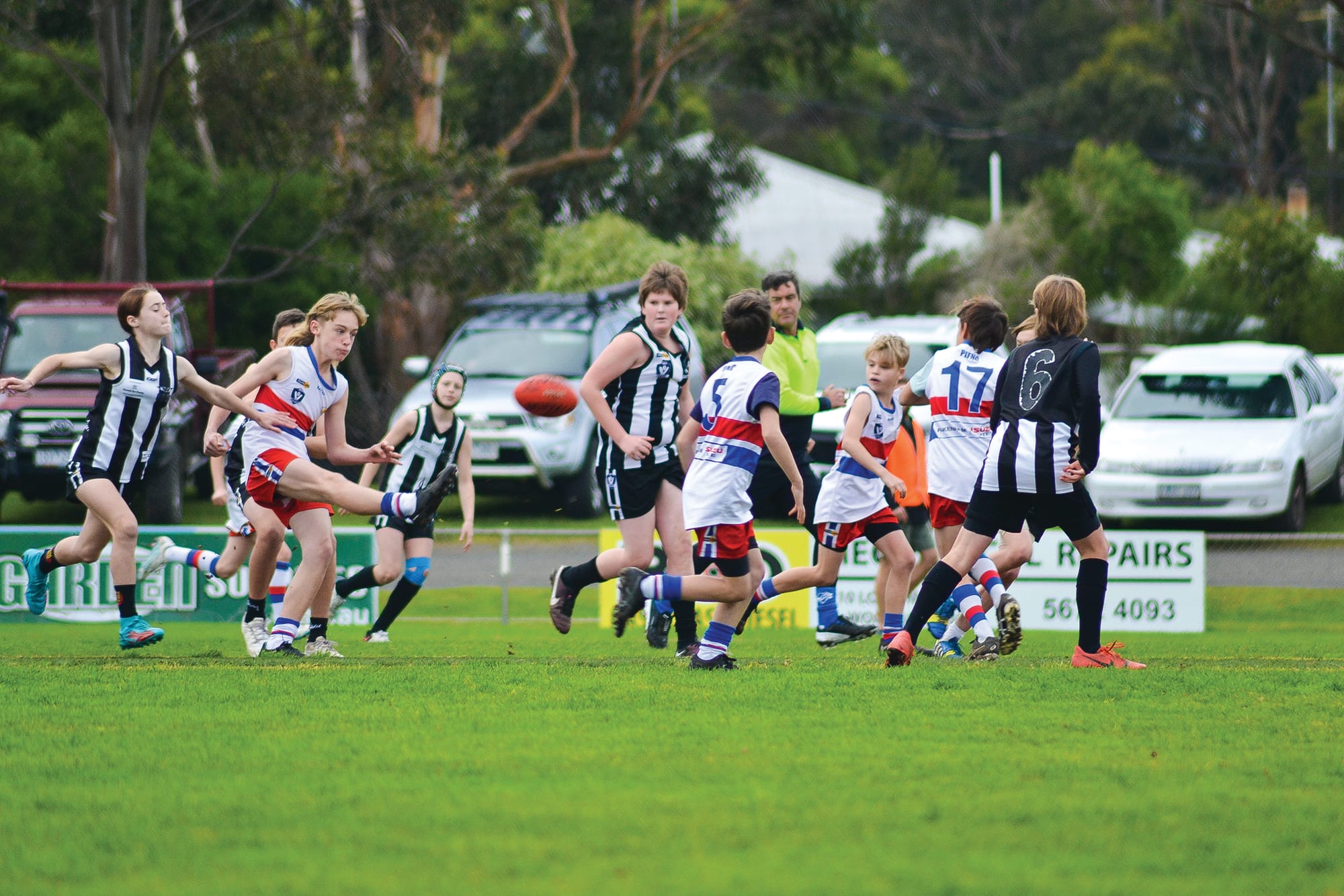 Big week on the field for junior Dogs - U12 Red