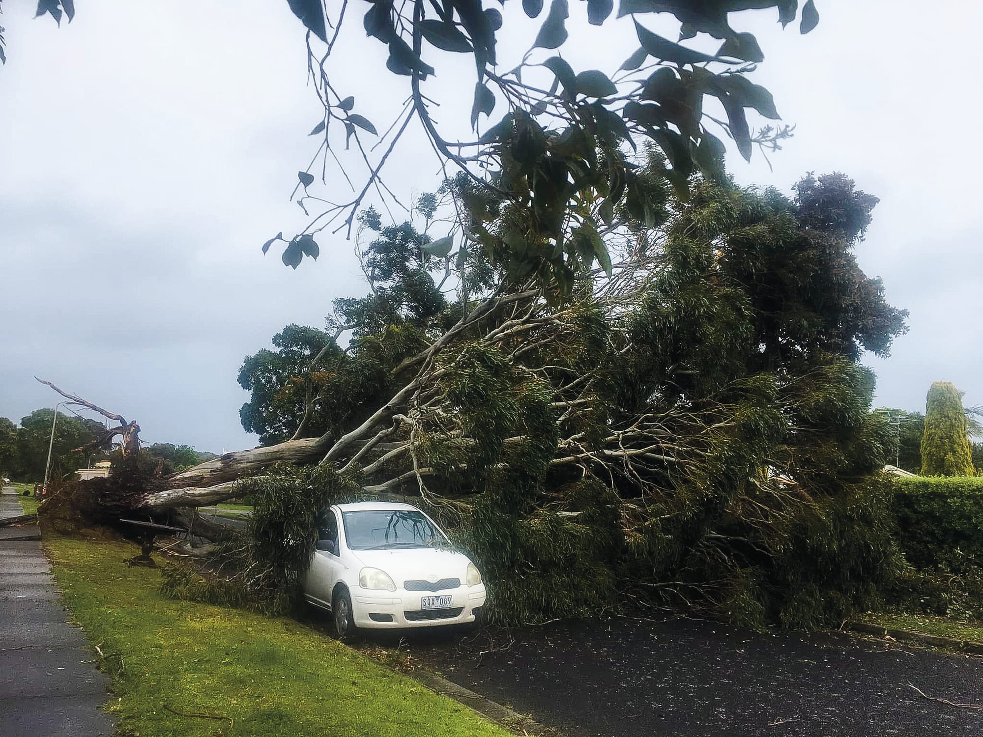 Cyclonic-force winds wreak havoc
