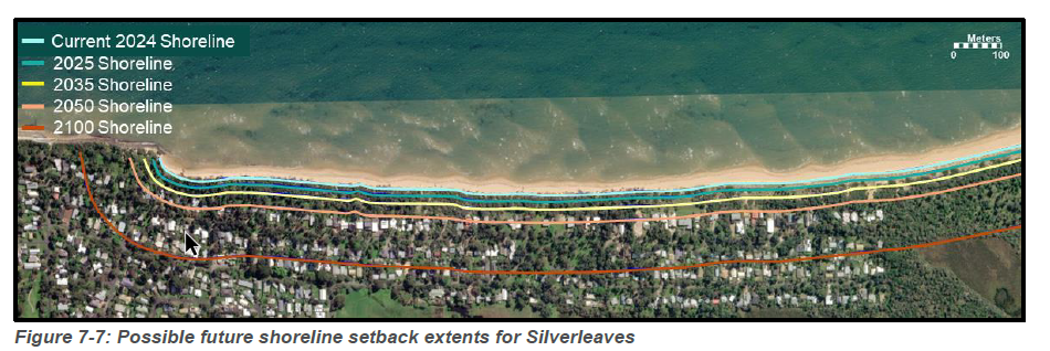 Silverleaves thrown an erosion lifeline