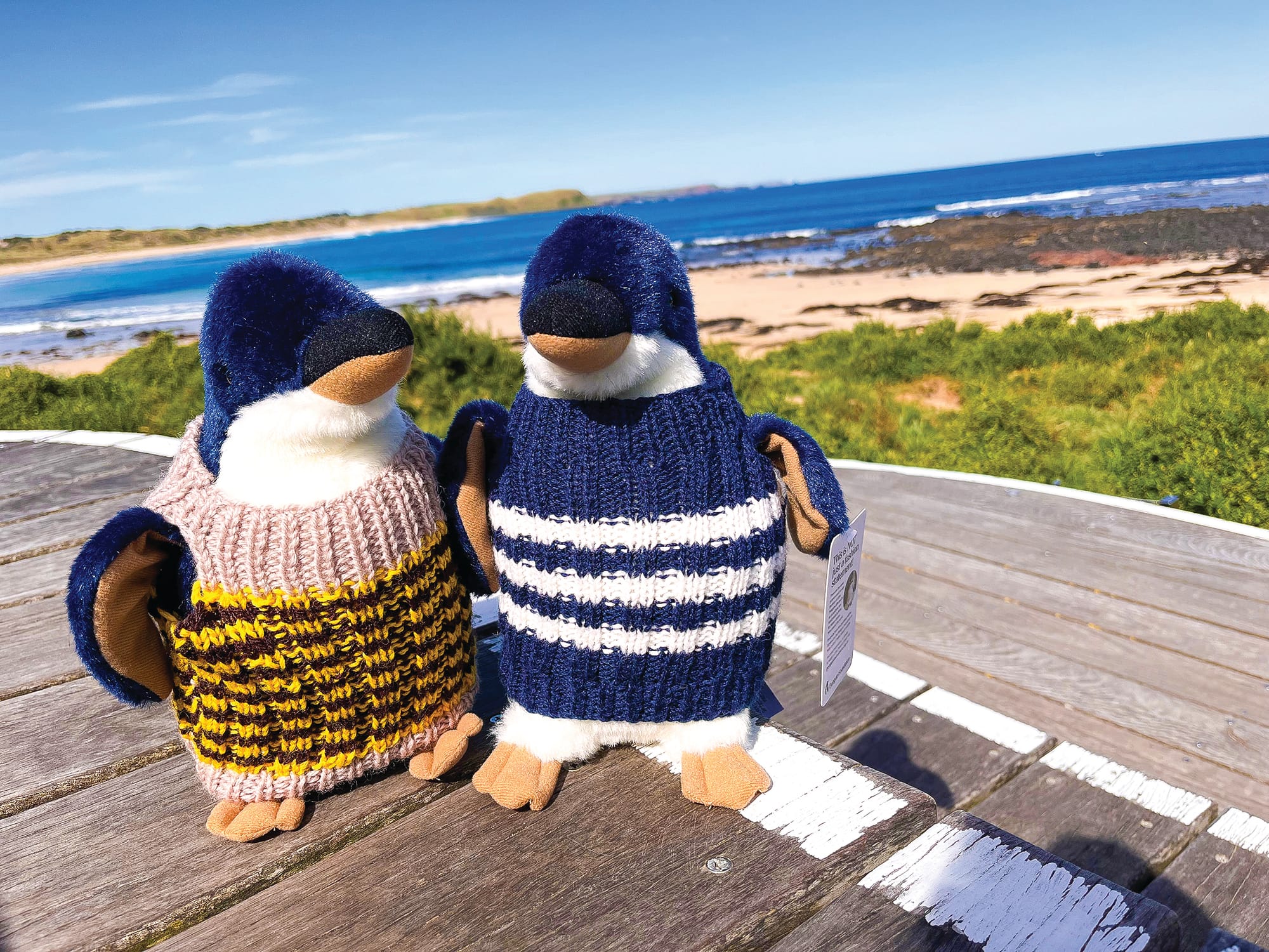 Get knitting for penguins