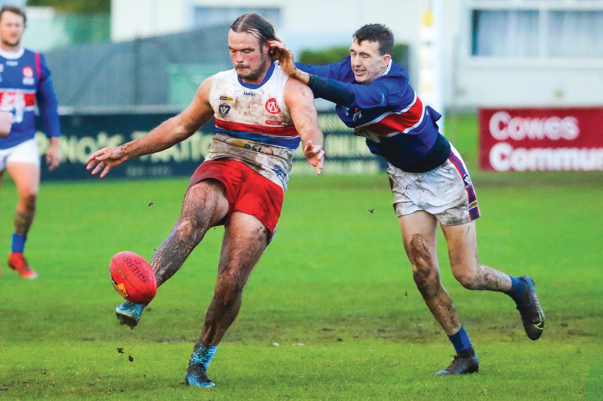 Island Boys prevail in Battle of the Dogs