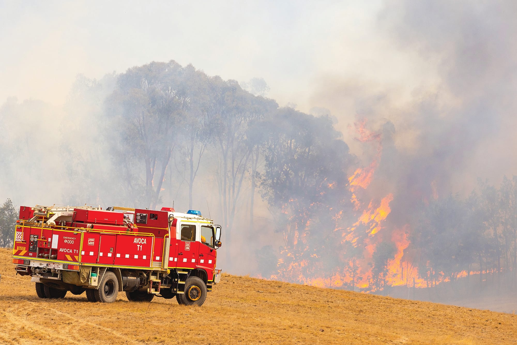 CFA urges increased bushfire safety awareness