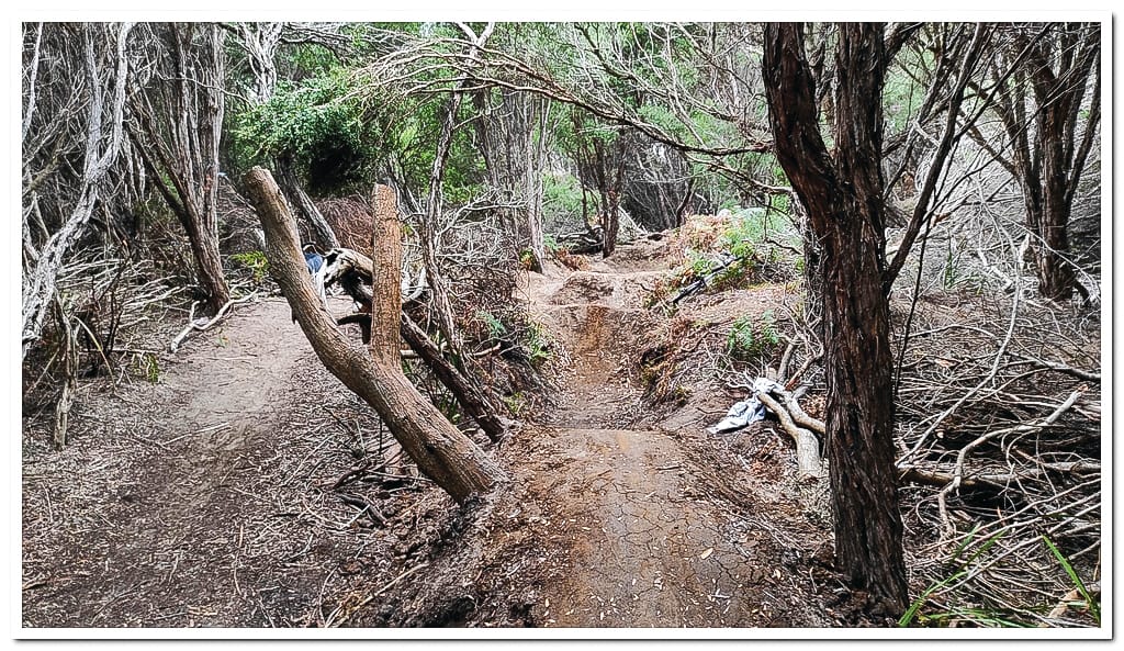 Damaged foreshore to be restored