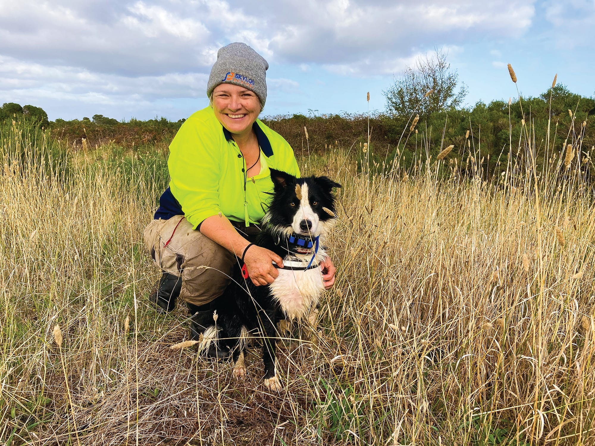 Wonder dog recruit sniffing out wild weeds