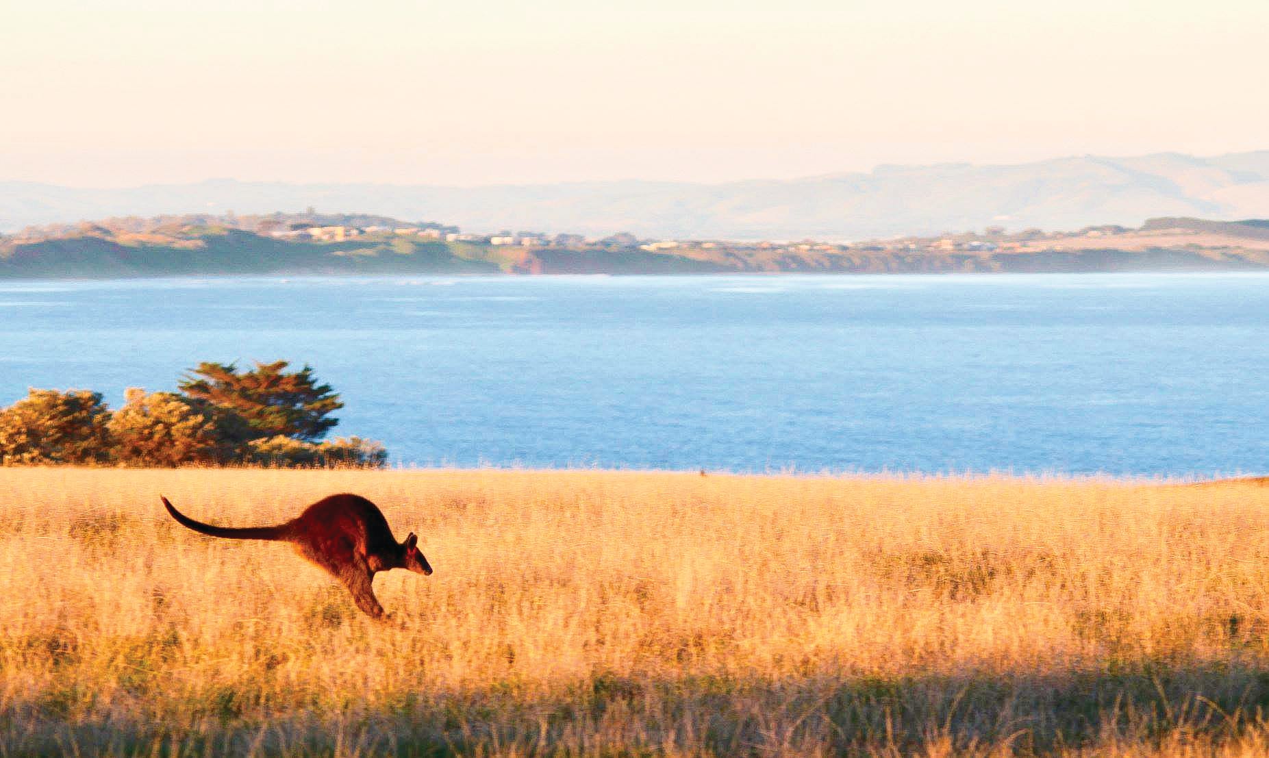 New Environment Fund comes under fire