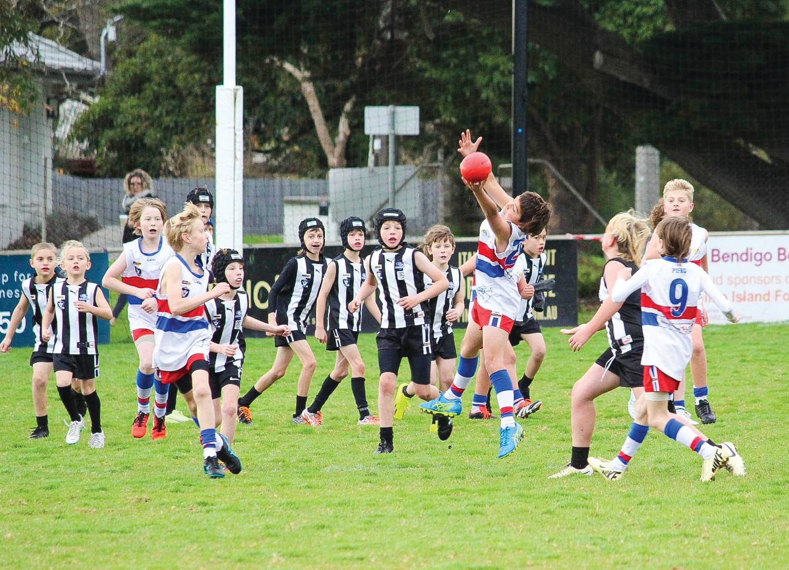 Island juniors display strong talent