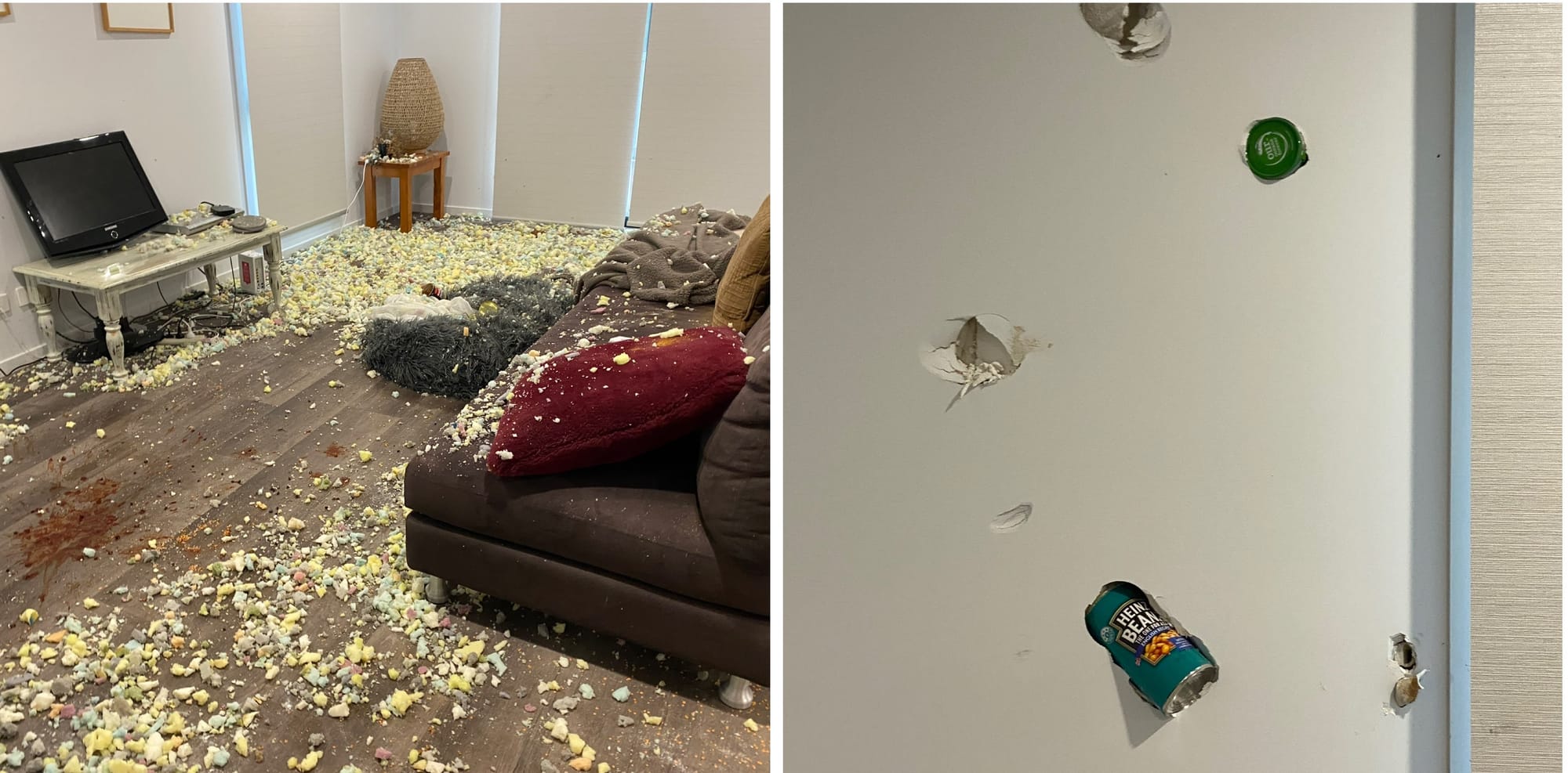 Horrific Cape Woolamai break-in leaves owners "frightened"