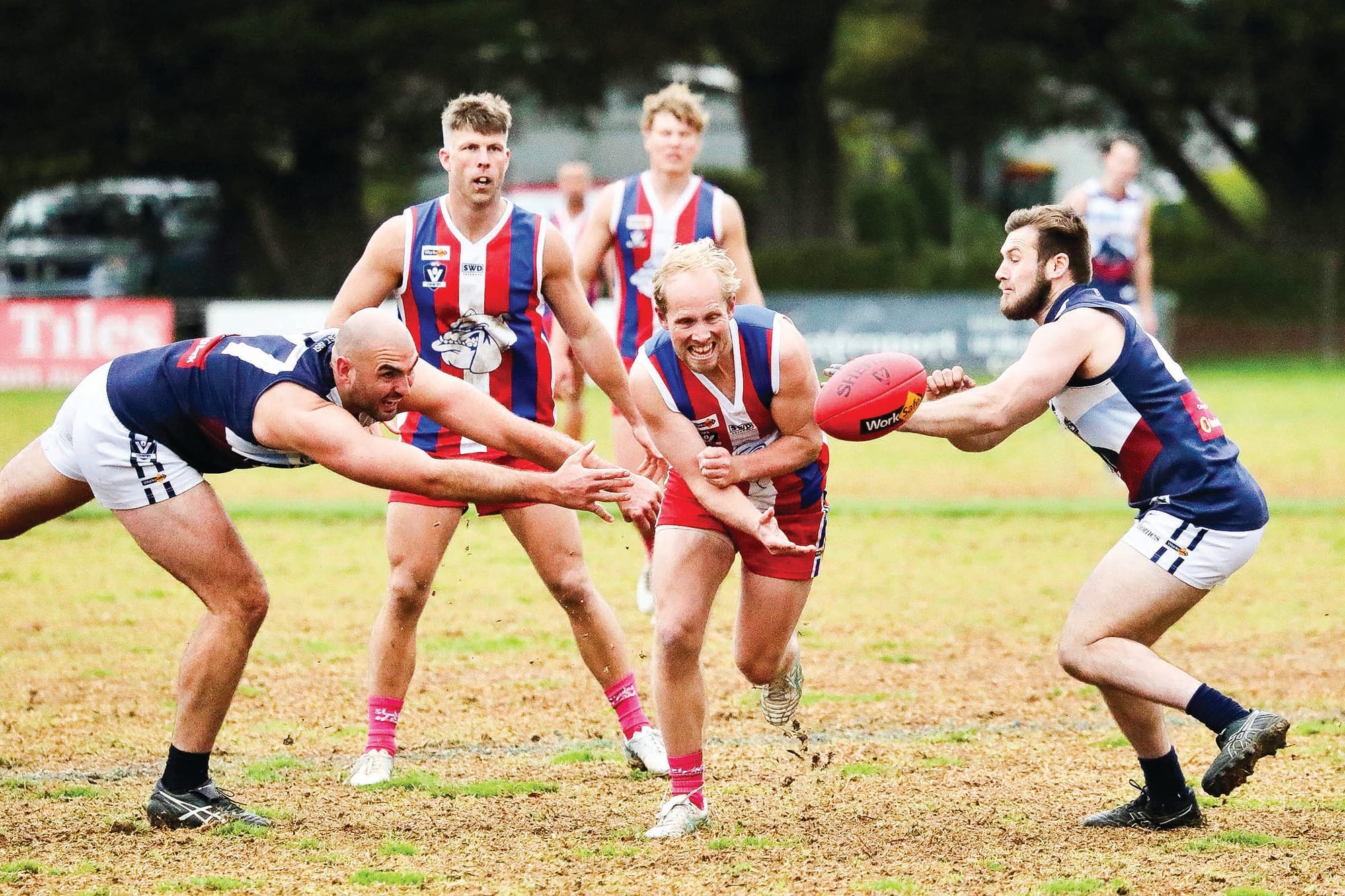 Bulldogs maintain control in win over Panthers