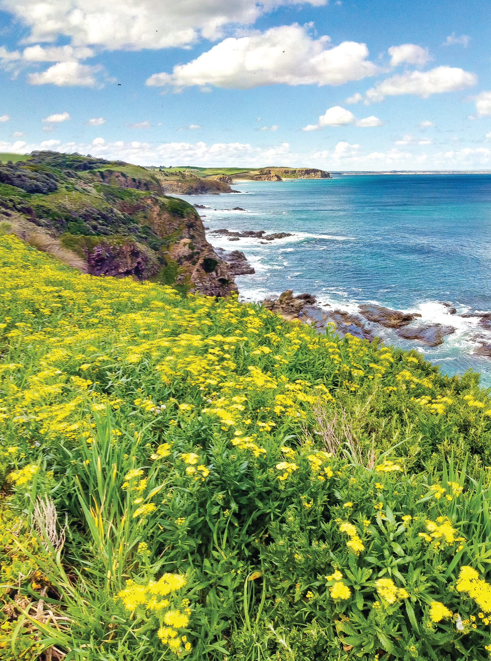 Homes, towns, coastal charm to be protected