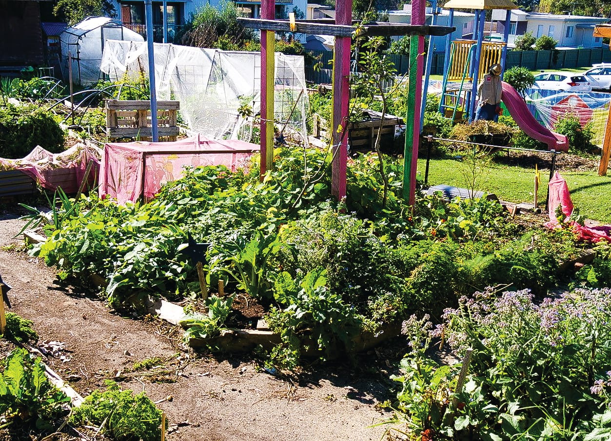 PICAL move up for consultation