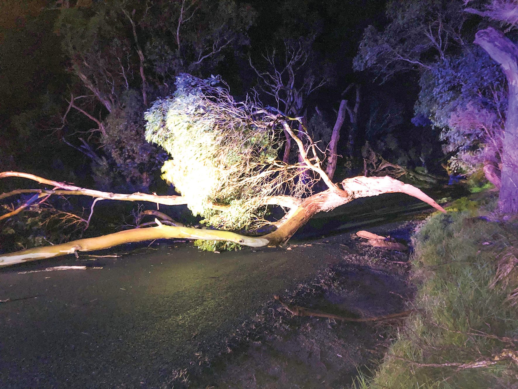 Storms wreak havoc