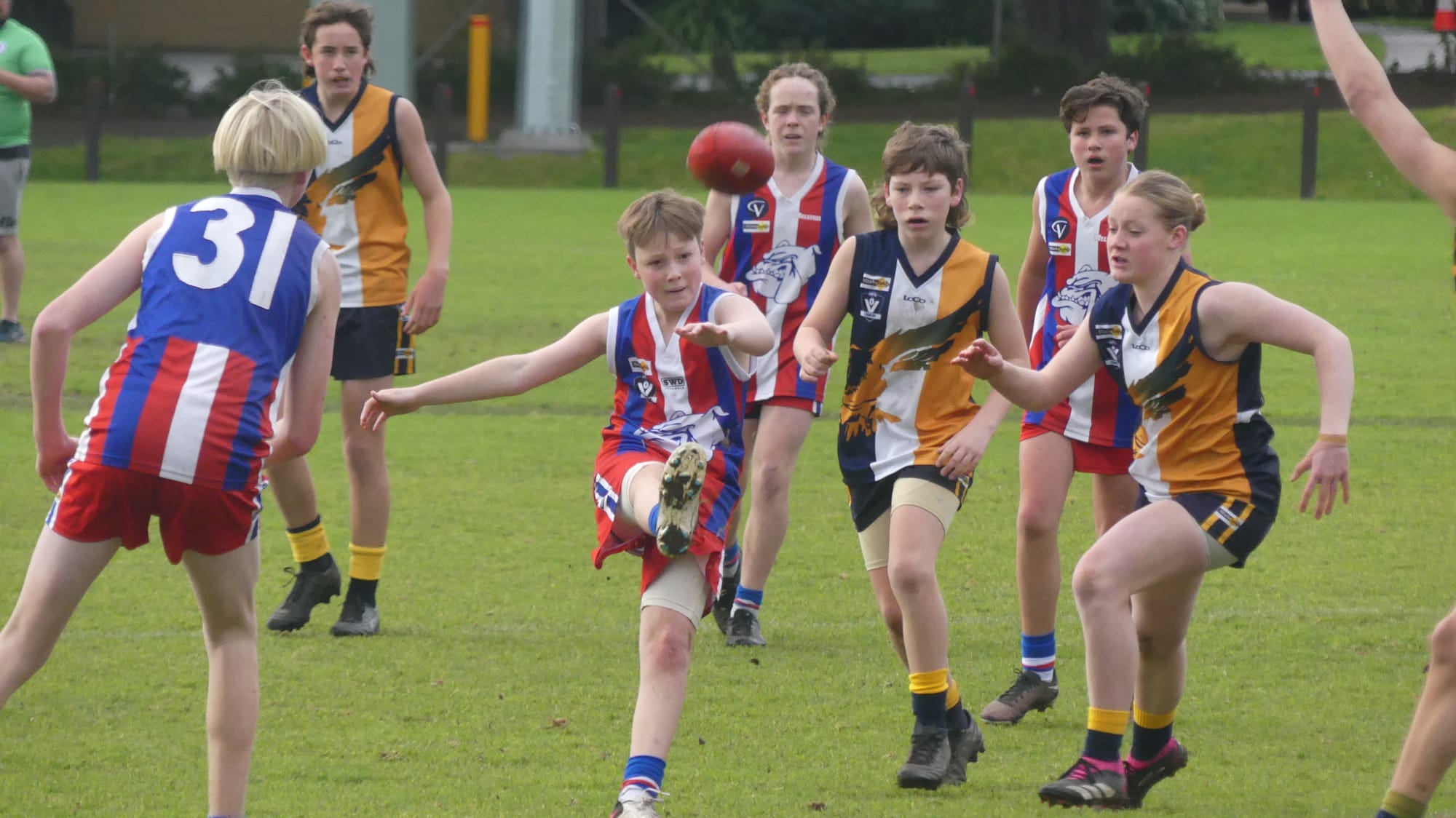 Big week on the field for junior Dogs - U14 Blue