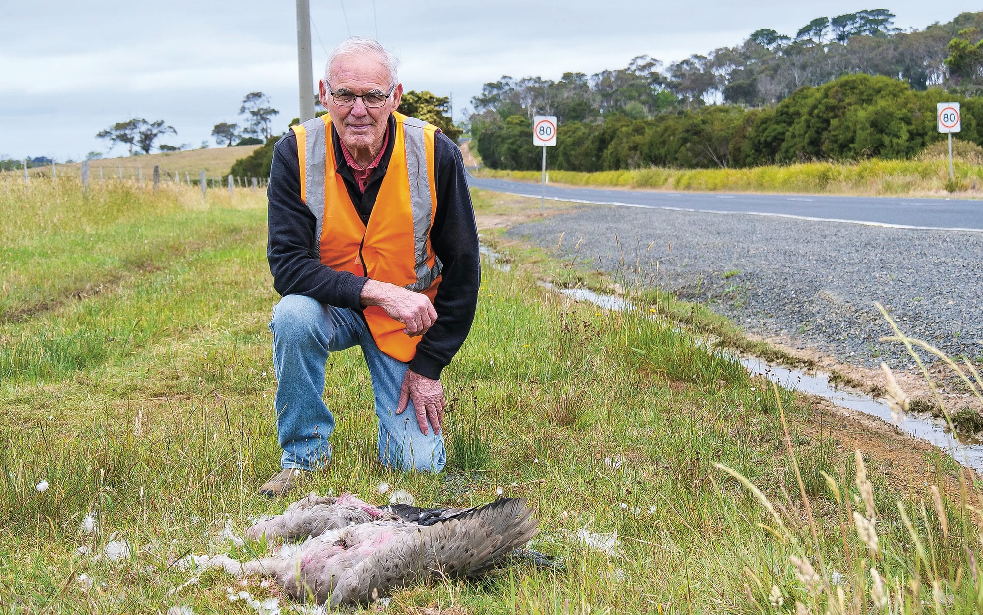 It all started with two dead echidnas