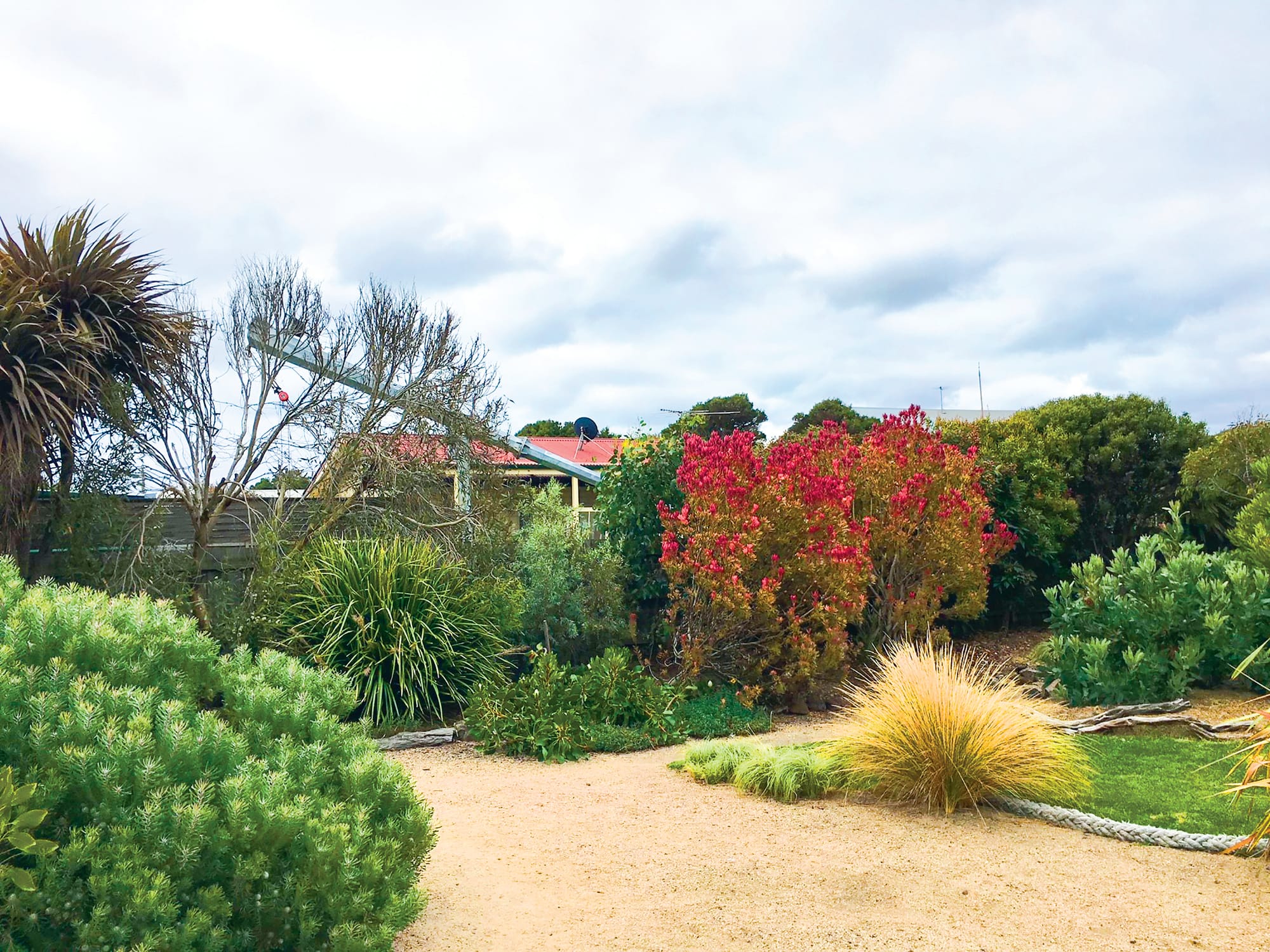 Surf Beach wind turbine starts construction