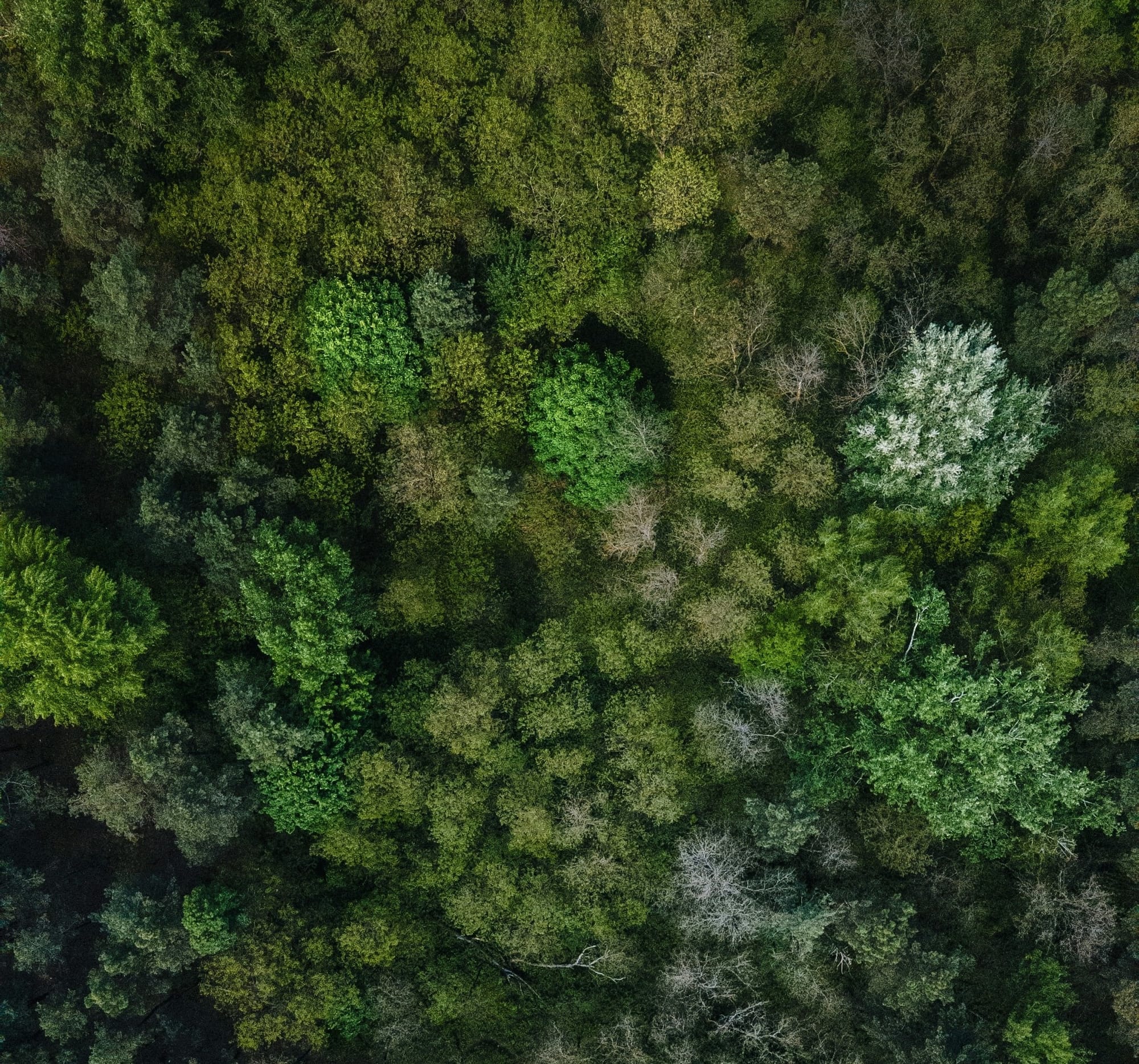 Red Rocks working bee