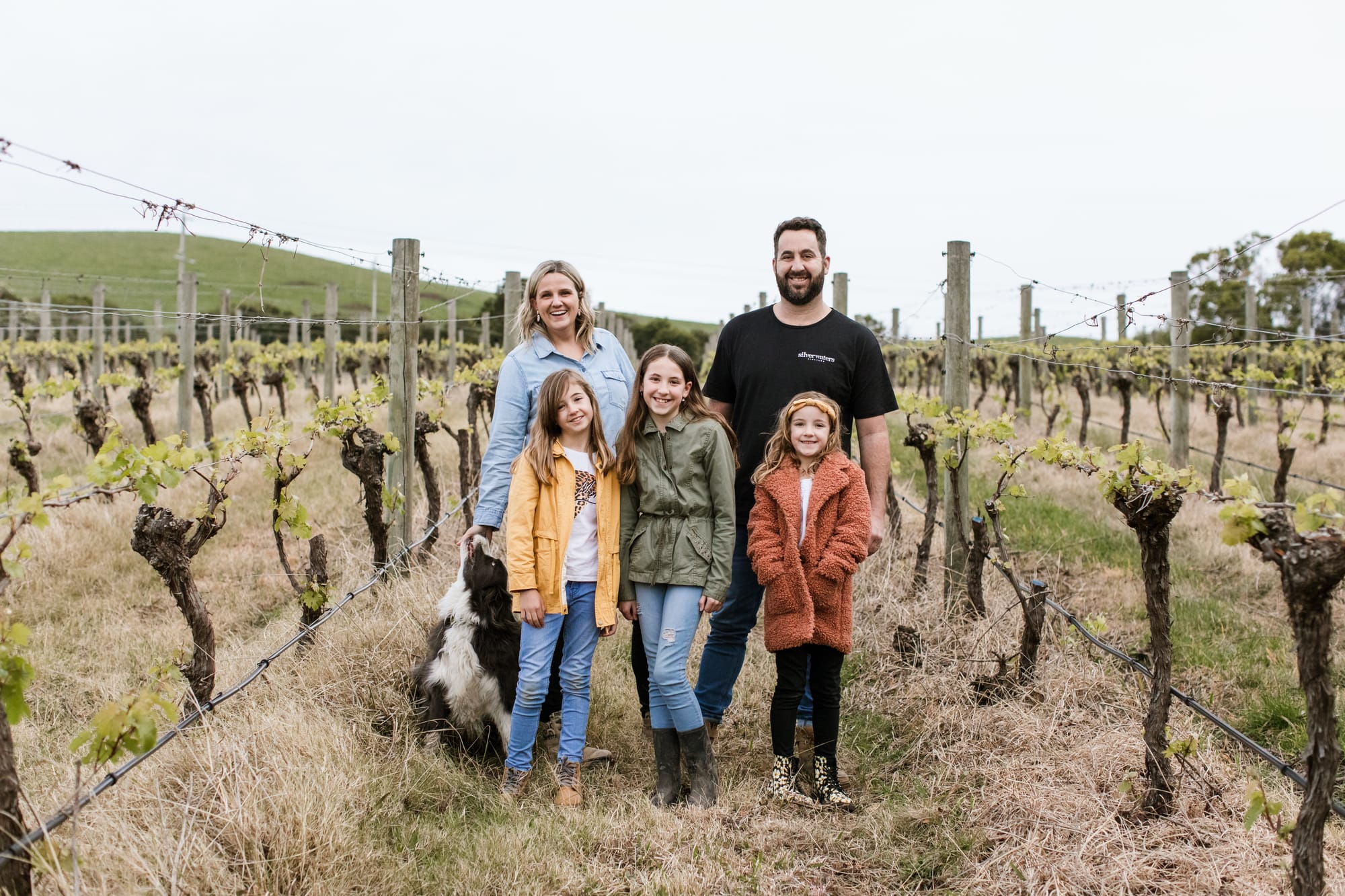 Silverwaters Vineyard reborn