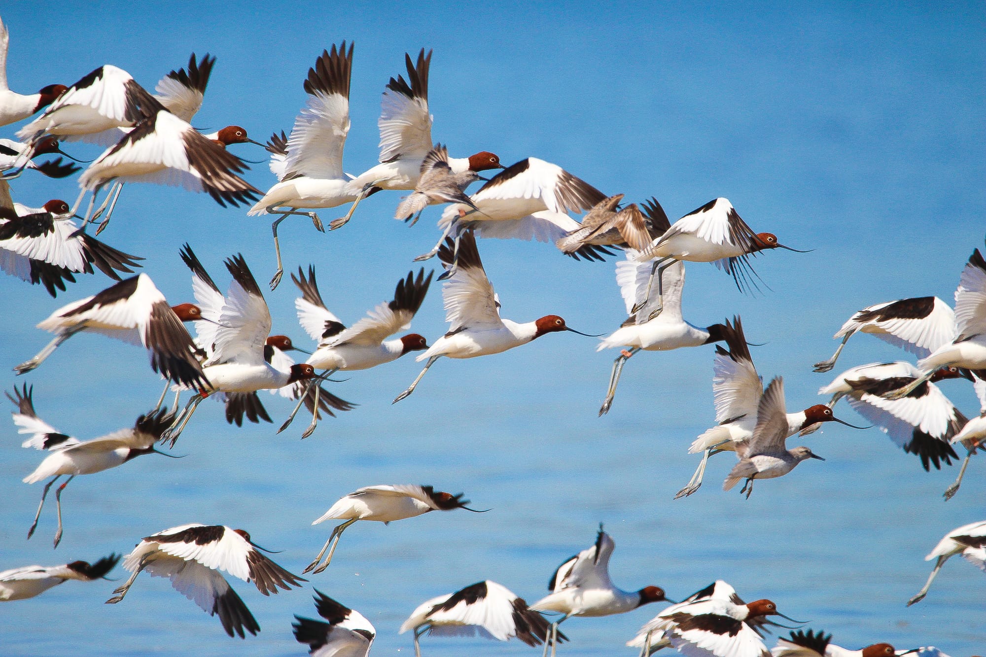 Help guide the future of the Western Port region