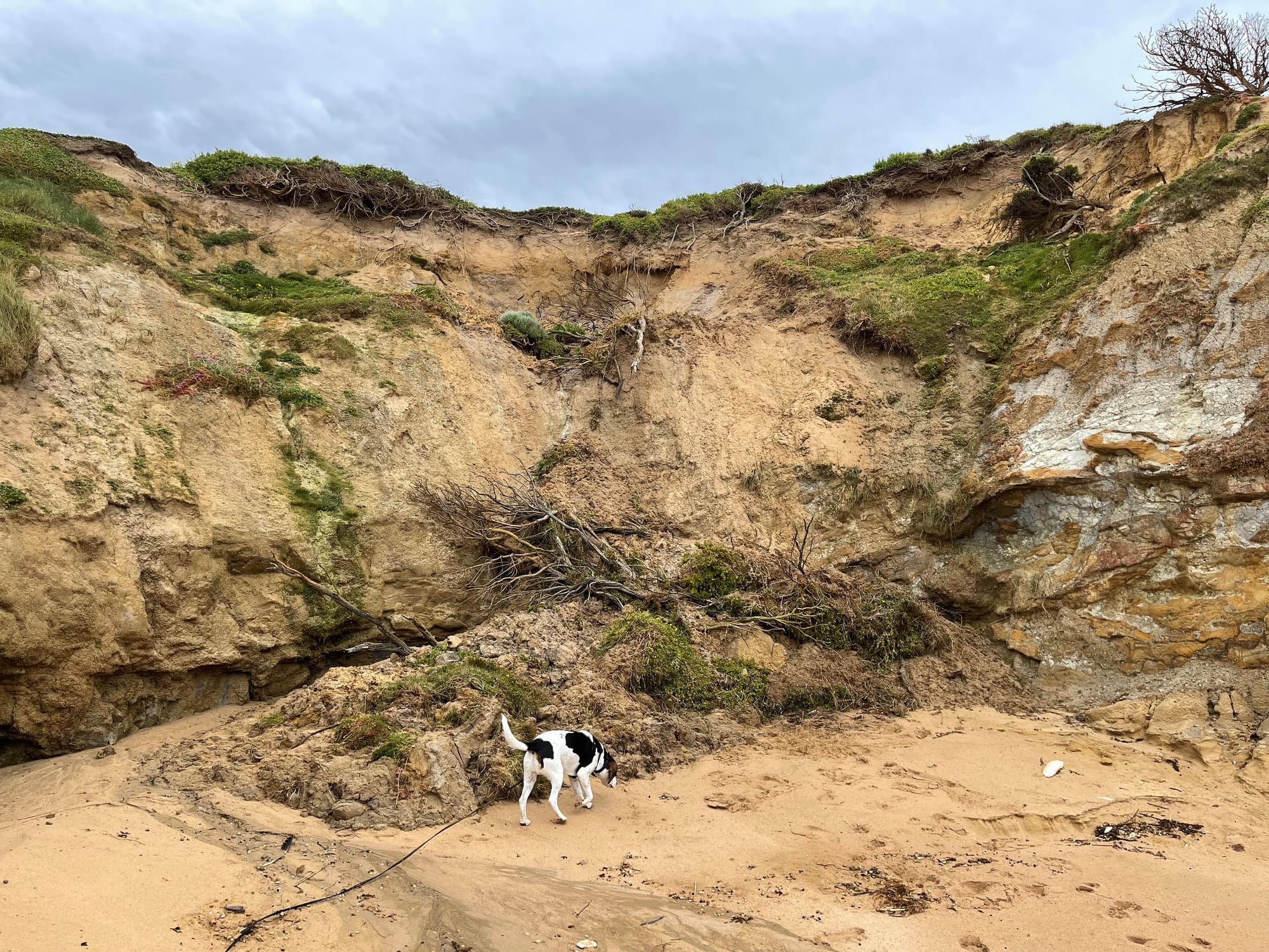 Look out for a landslide