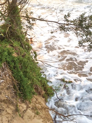 Calculating the cost of climate change