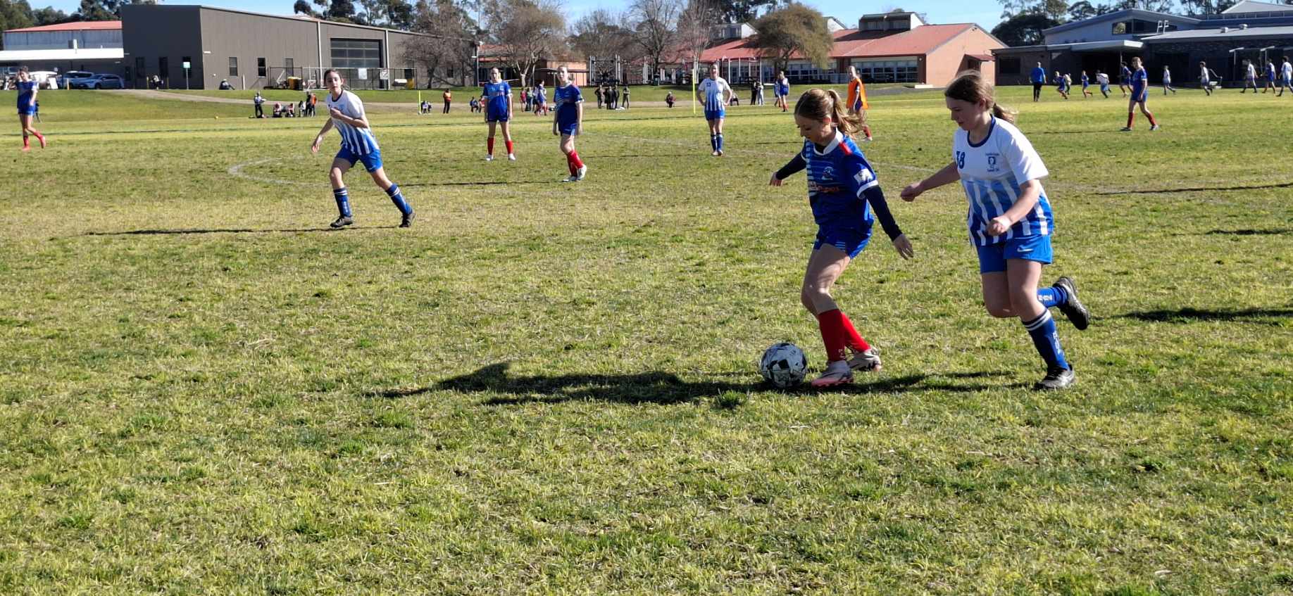 Junior soccer highlights